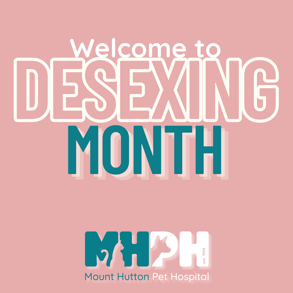 Welcome to National Desexing Month
