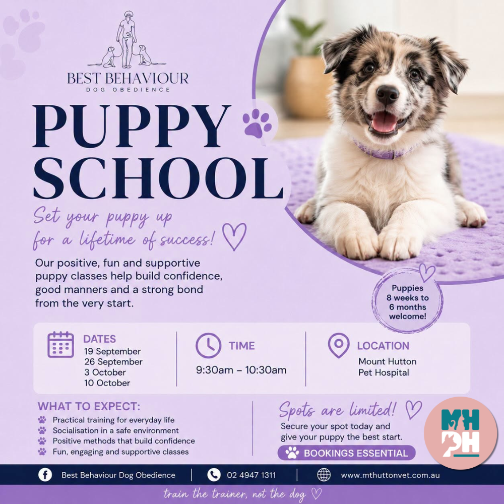 New Puppy School: