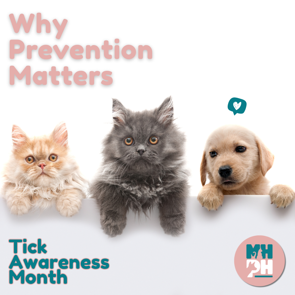 Why Prevention Matters