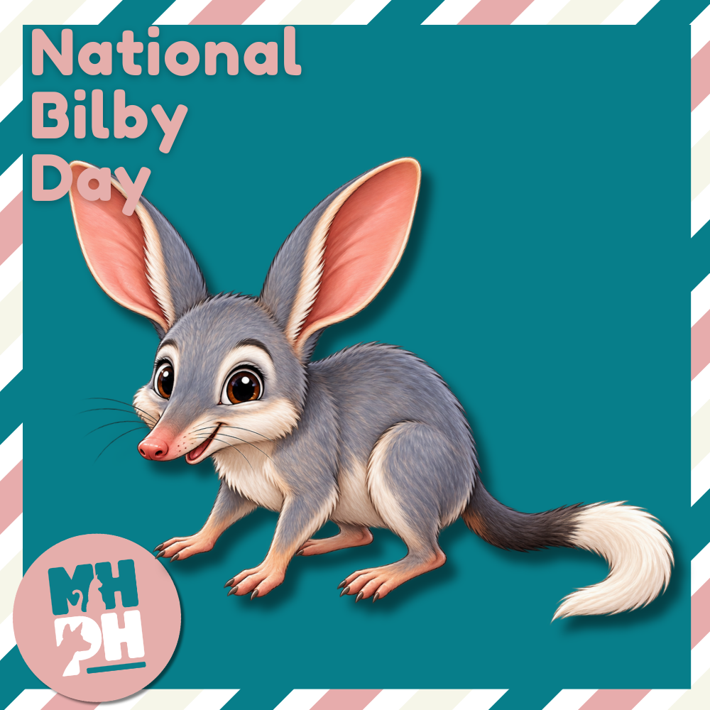Happy National Bilby Day! 