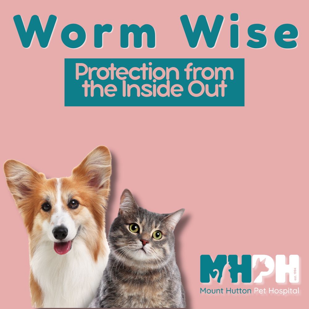 Welcome to Worm Wise: Protection from the Inside Out 🐾
