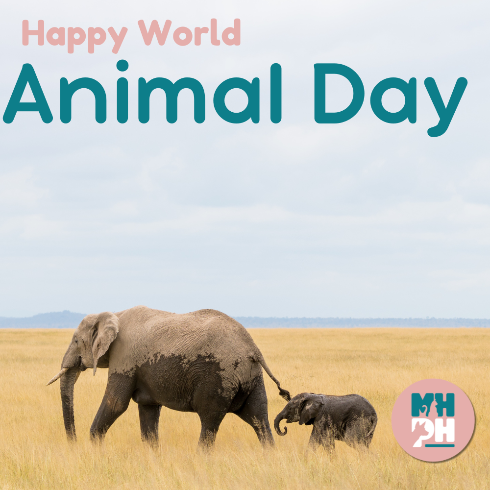 Happy World Animal Day 