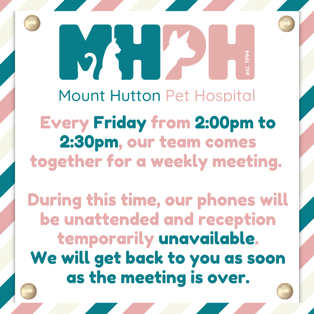 MHPH May 26 (11).png