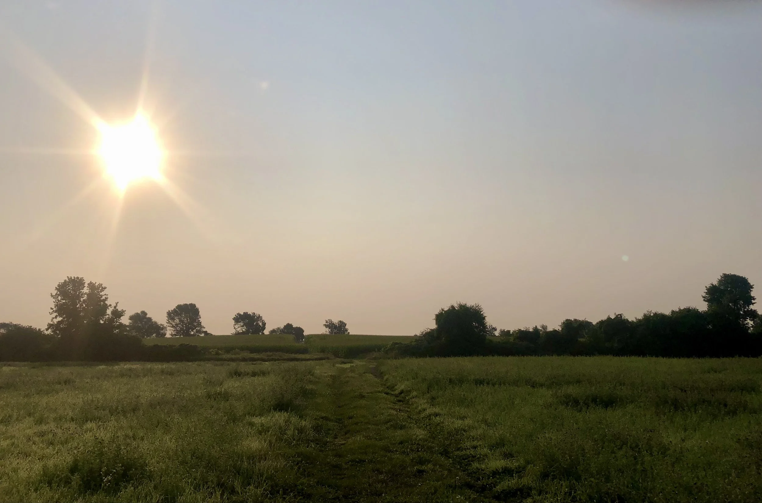 Navigating the New Now