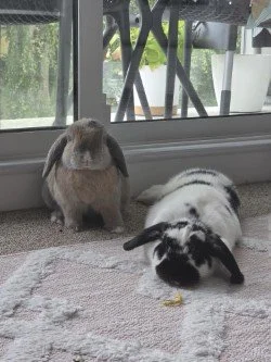 Thunder &amp; Storm