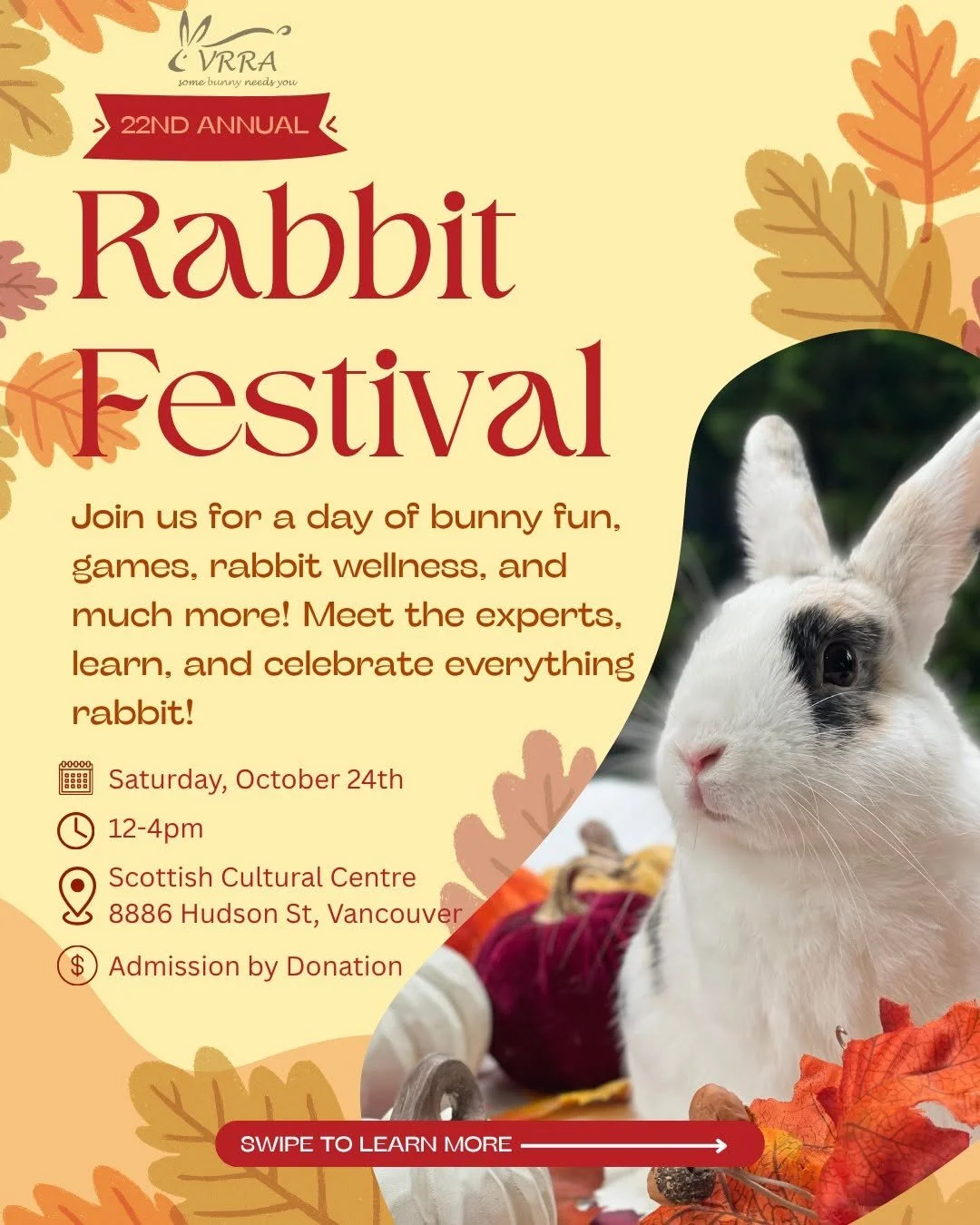 Rabbit Fest 2026