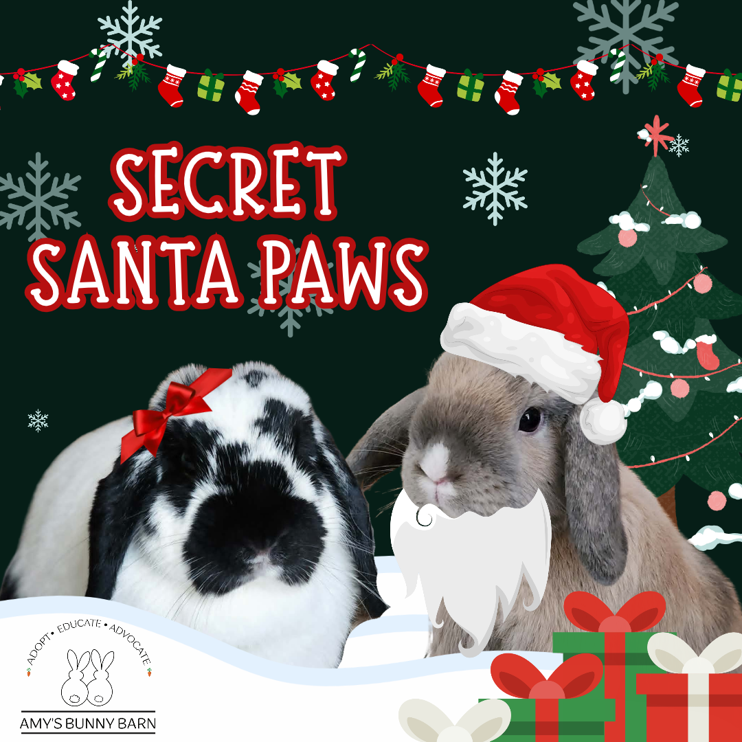 Secret Santa Paws 2026