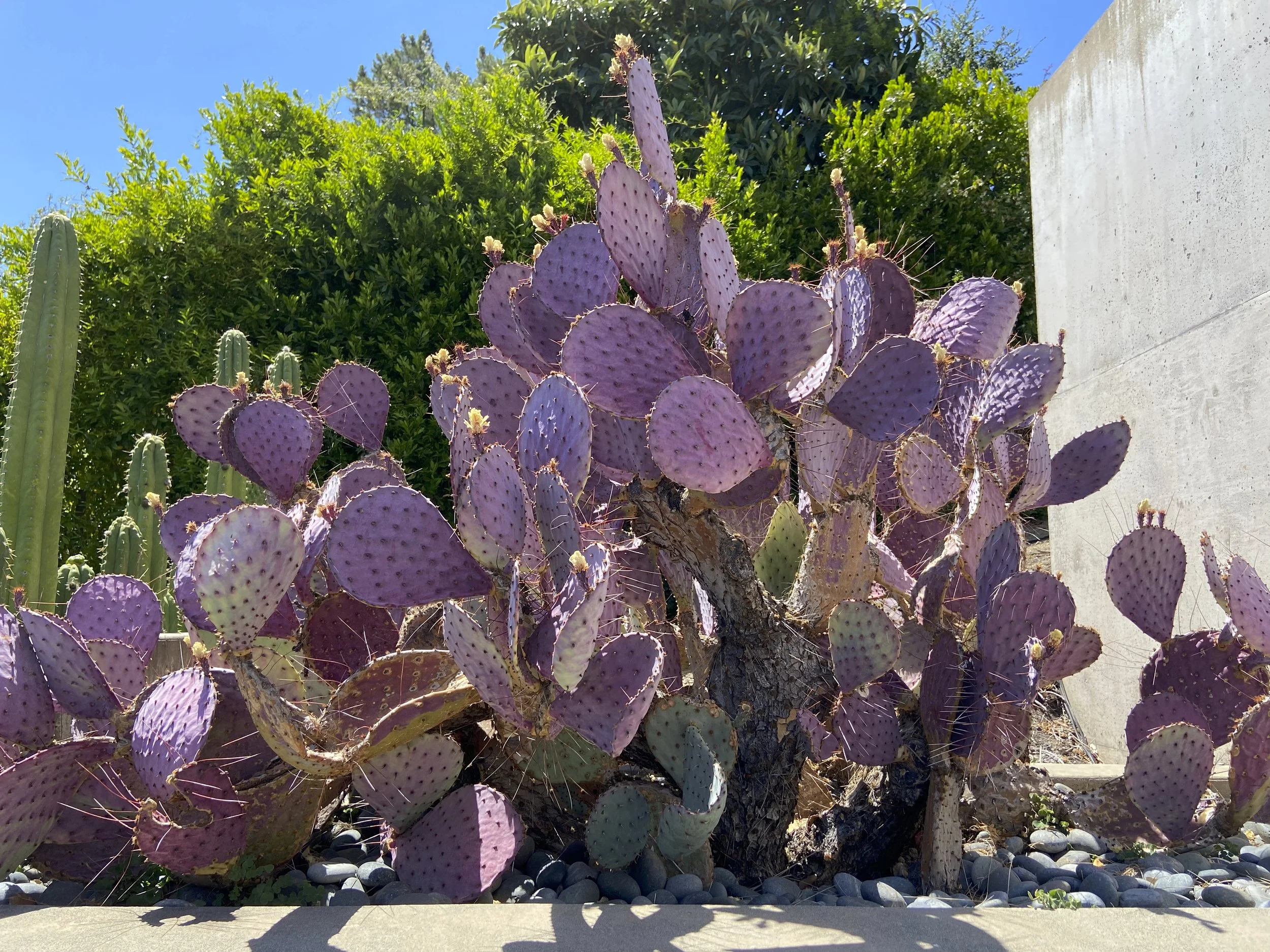 Images and video shot for Sweet July Magazine by Photographer Katie McCurdy. Dgital capture, lighting  and video by Gestalt.