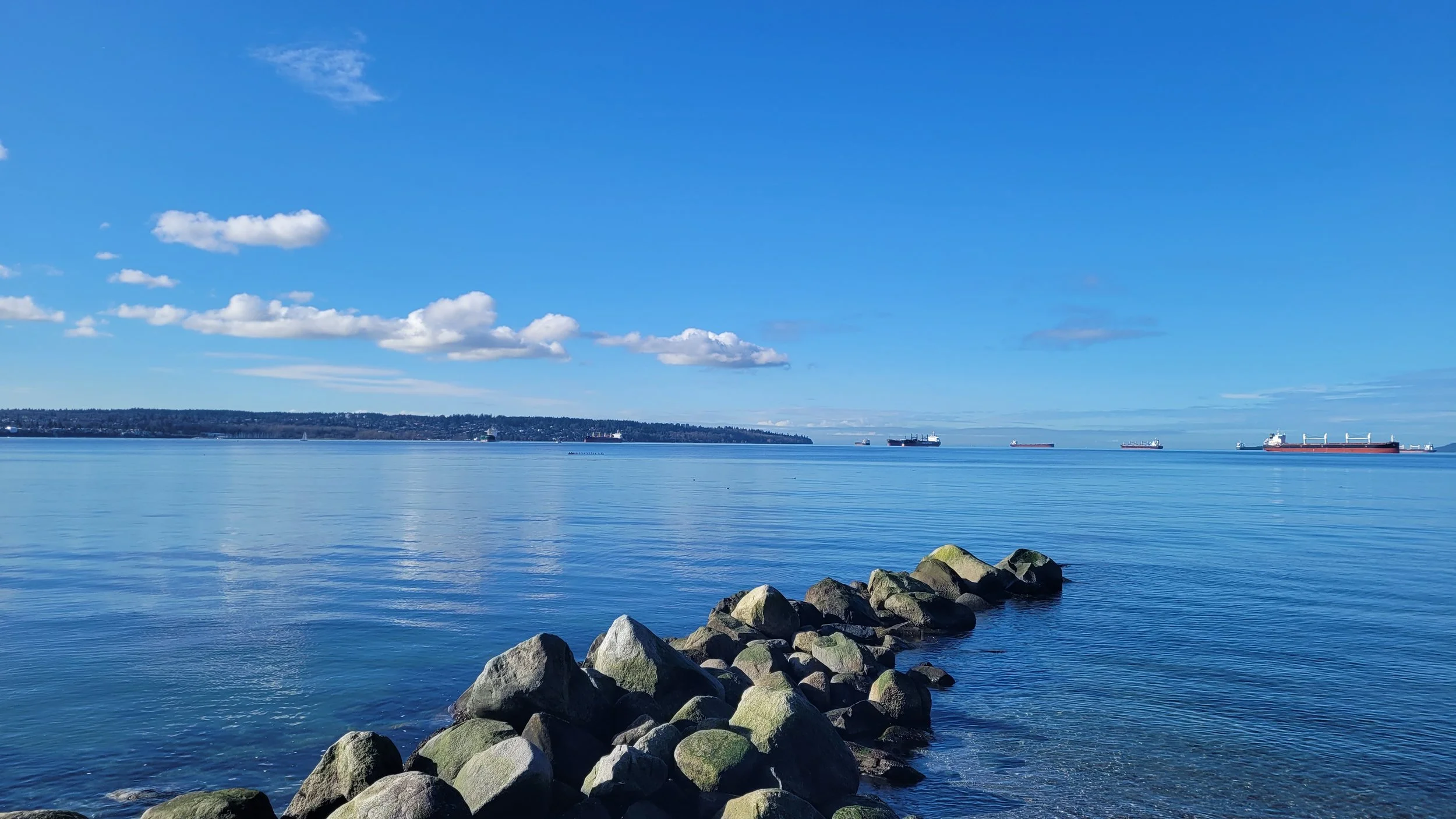 하나님의 얼굴을 비추소서