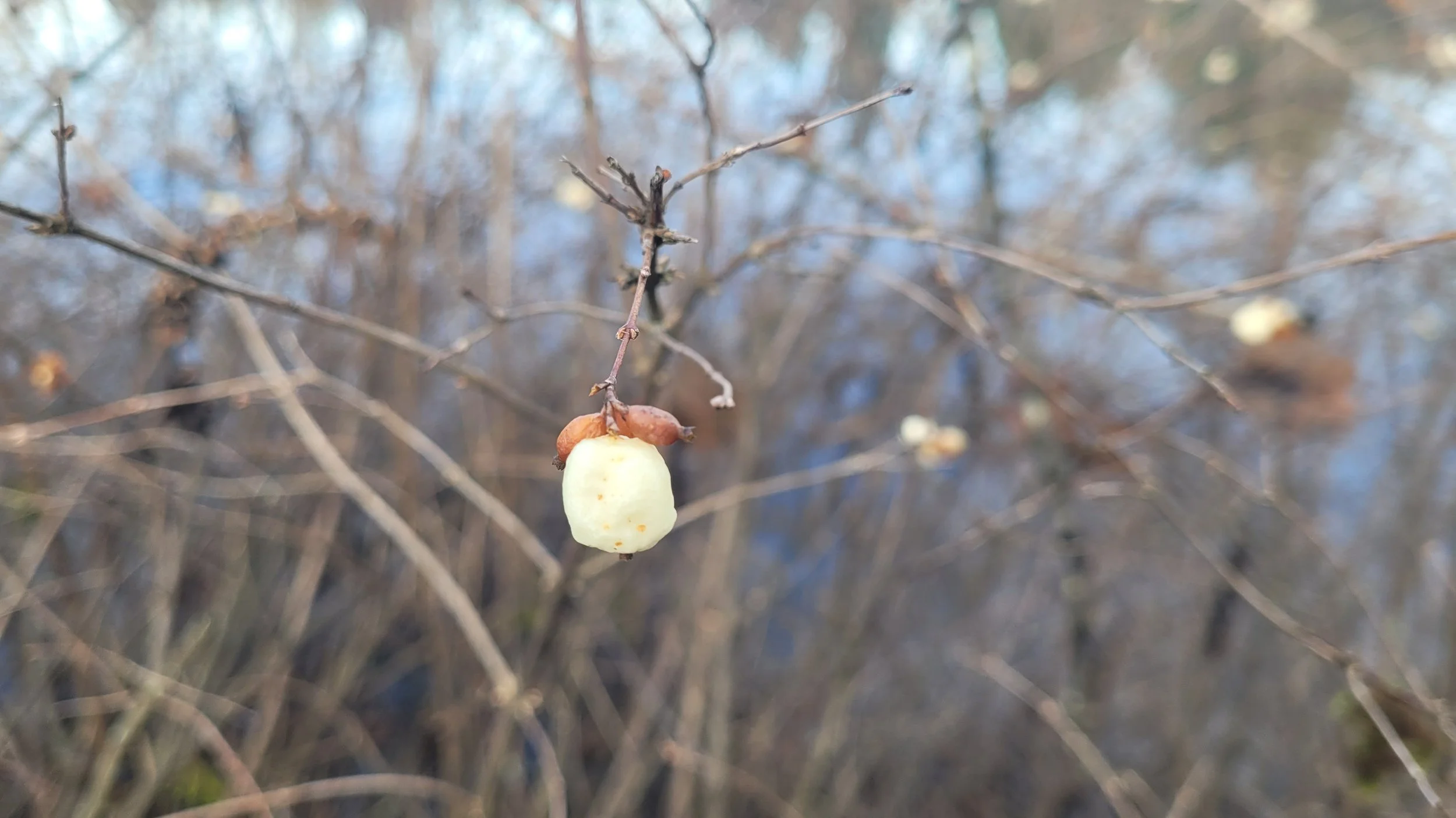 두려움을 은혜로 바꾸시는 하나님