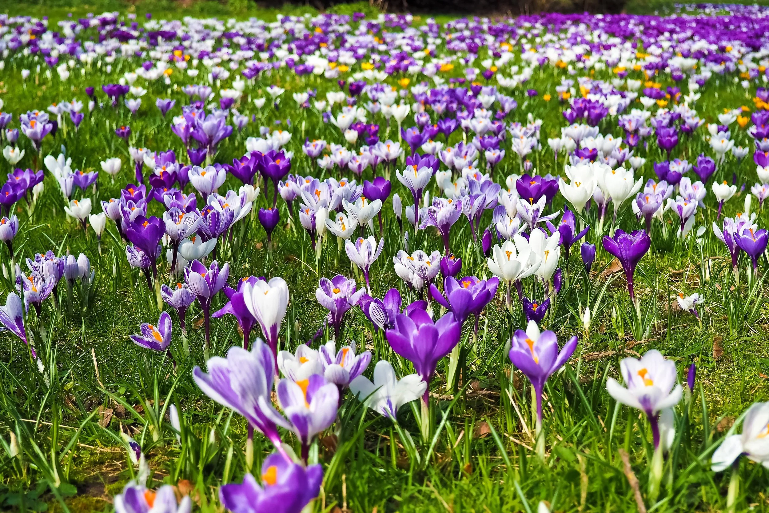 복음 때문에 사는 사람