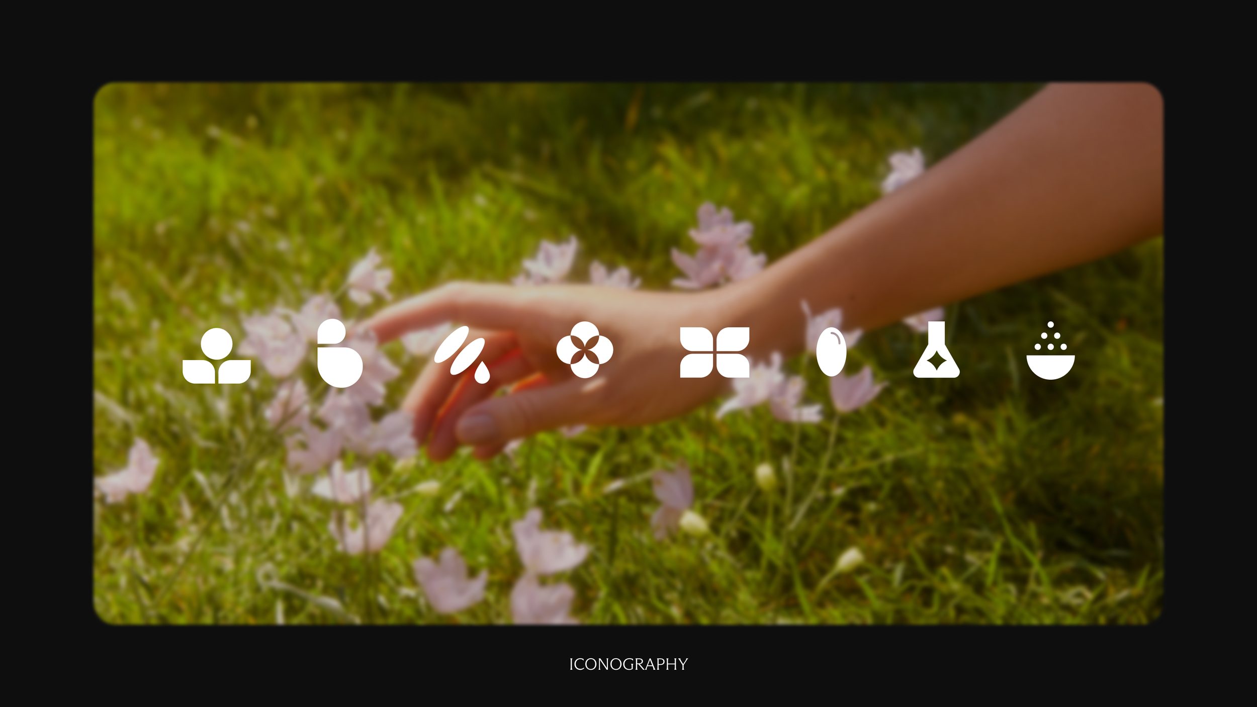 Work Studies - Needed 5.png