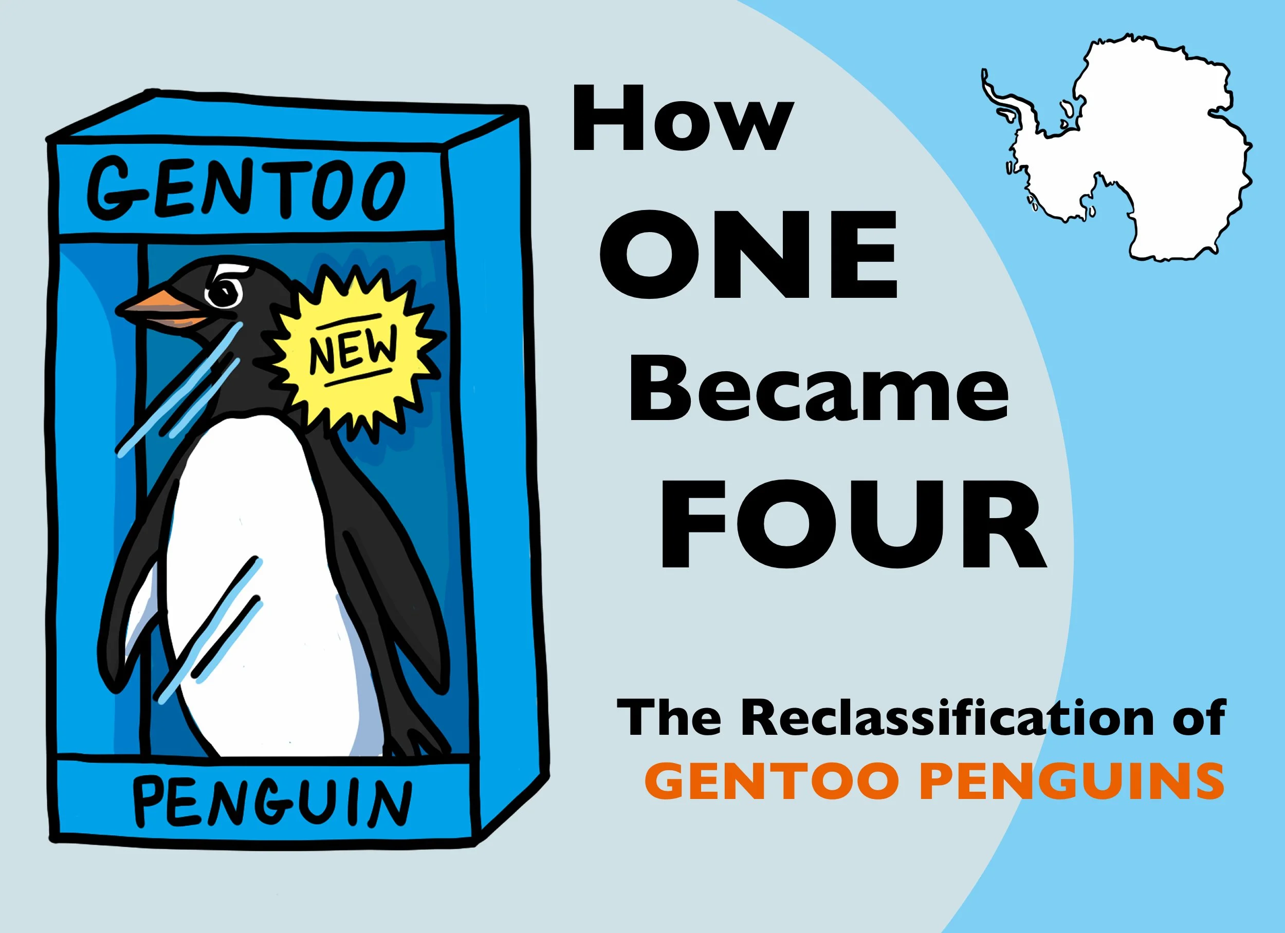 How One Became Four: The Reclassification of Gentoo Penguins 