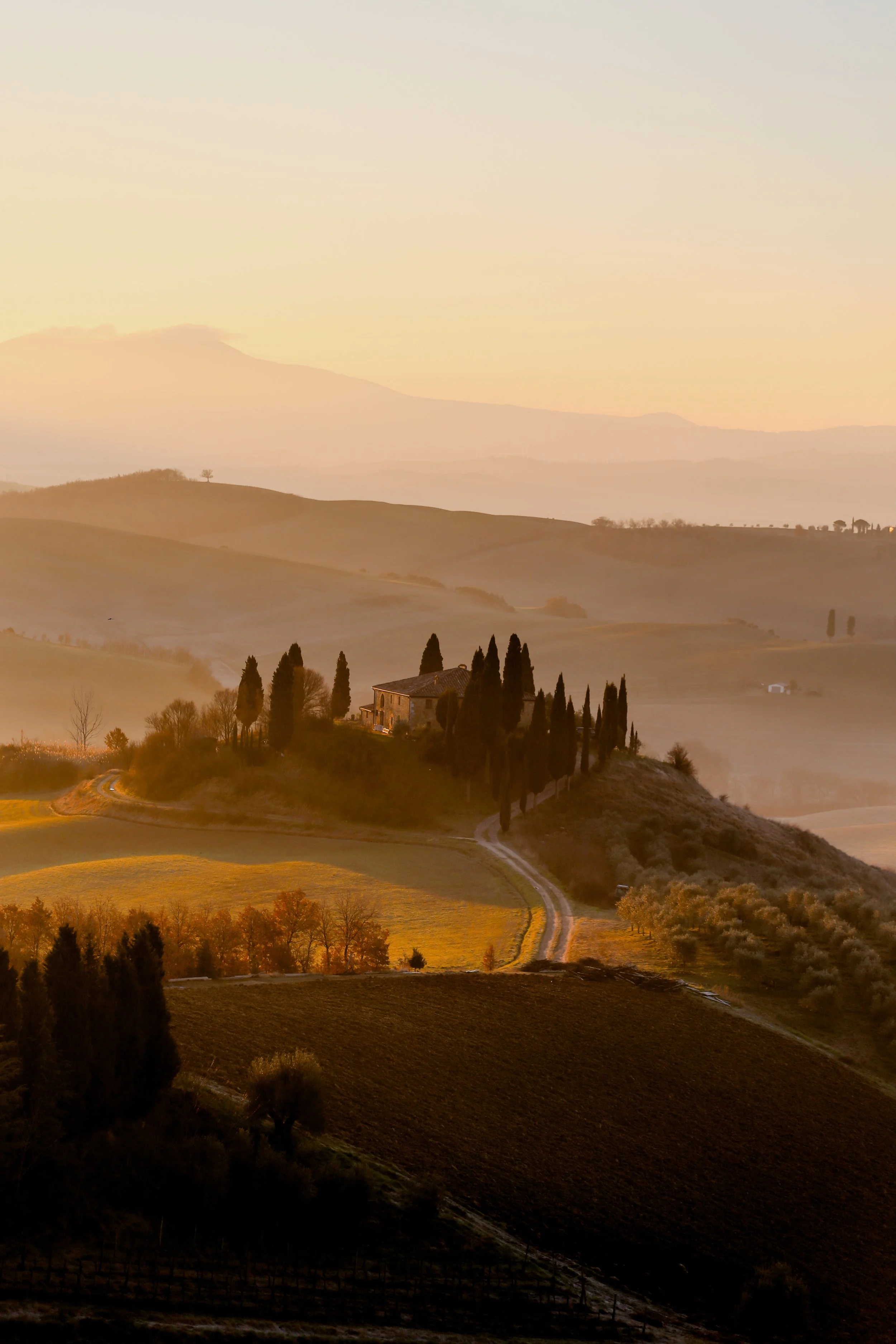 giuseppe-mondi-fJWYwHWYQpY-unsplash.jpg