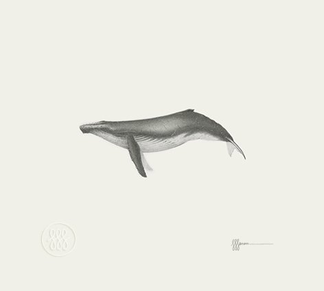 The Point
180 x 200 mm | 2020
