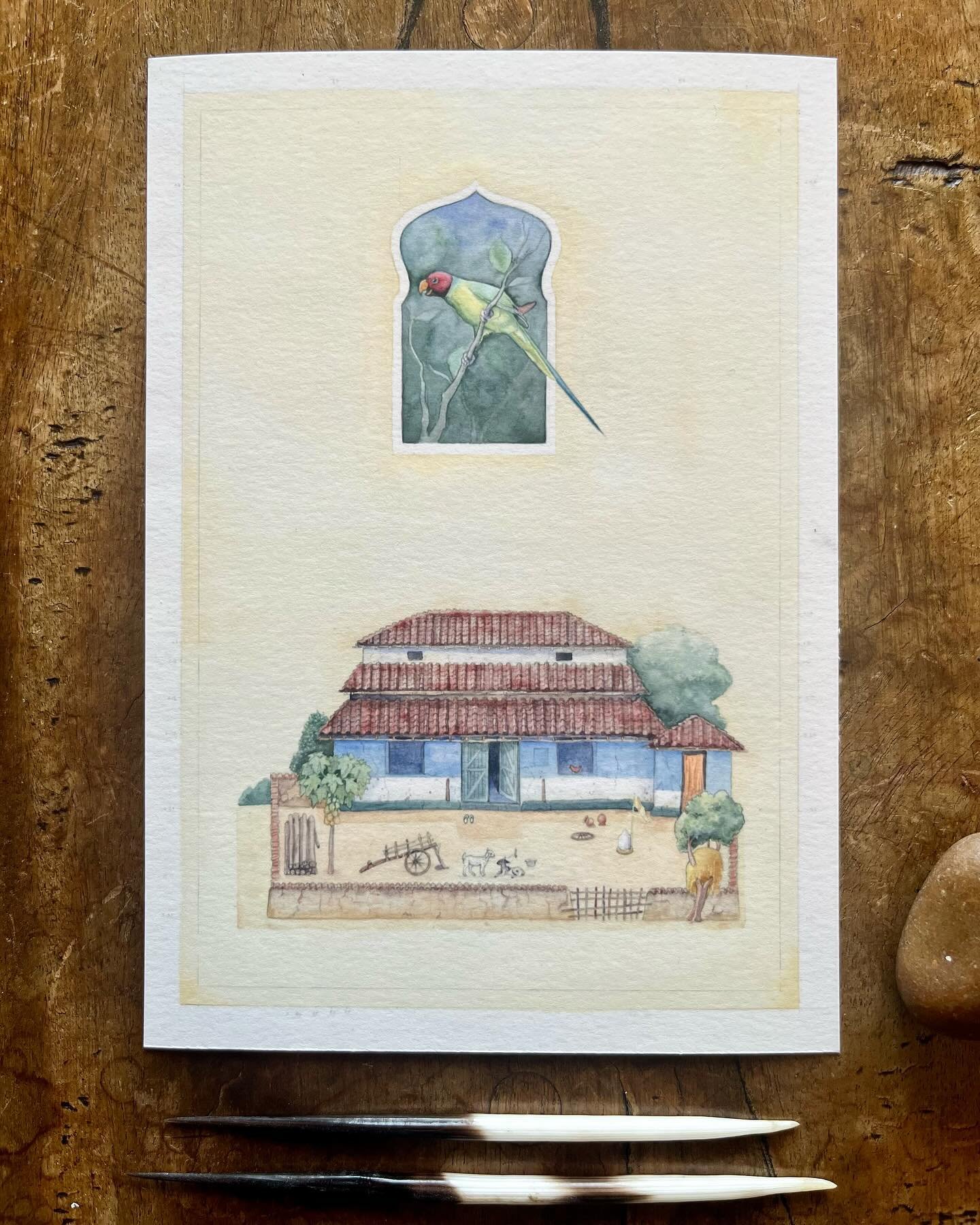 Study 3 of 3. A typical house in Kanha with a typical plum headed parakeet.  This is a last in a series of house studies I did from my travels in Central India. 

Until now the themes of my work have not been  anthropocentric. You would not be wrong 