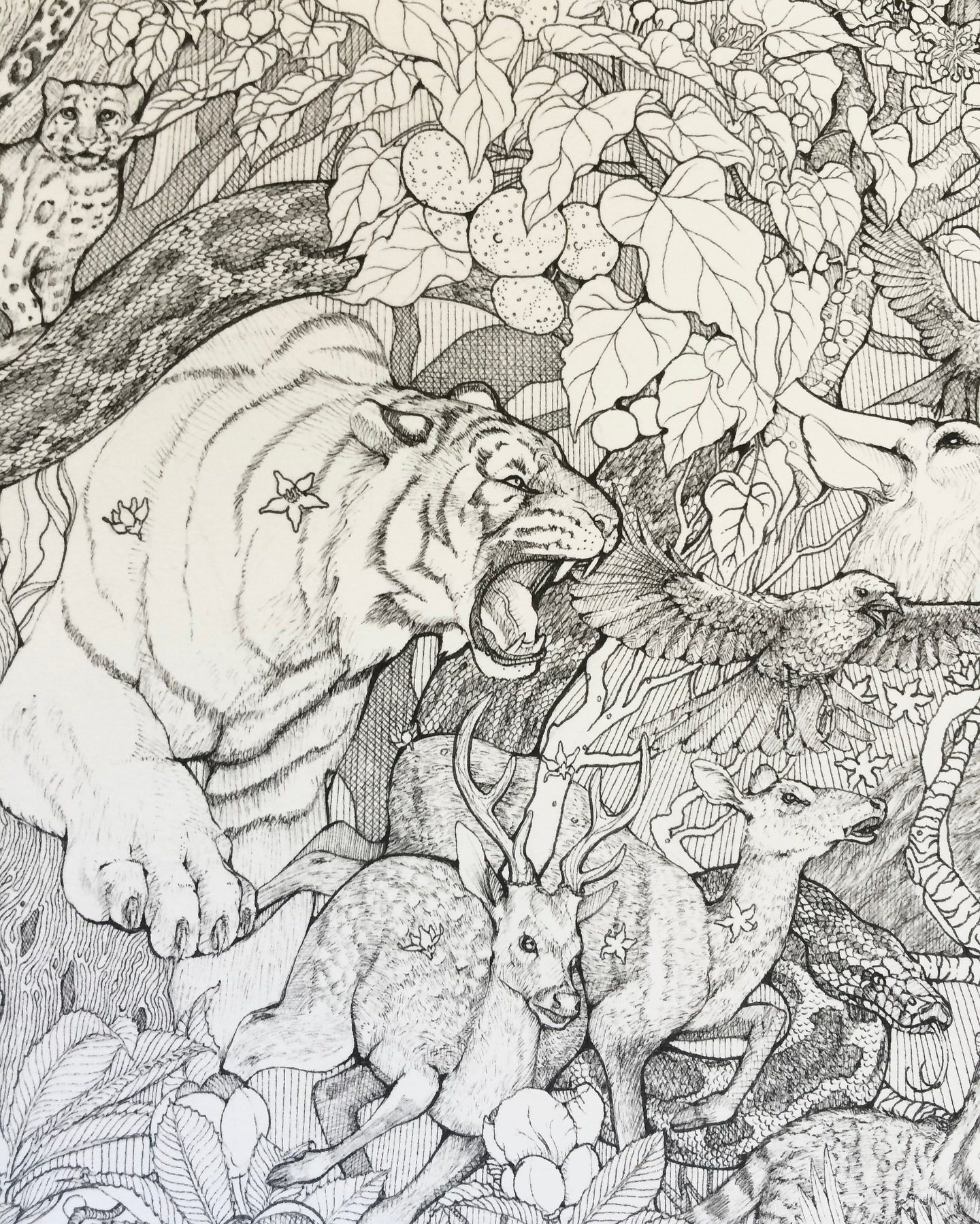 Throwback to a time when I worked almost exclusively with pens. Scouring research papers and documentaries to find connections between species. The depiction of animals and plants was anything but random. They were predators and prey, herbivores and 