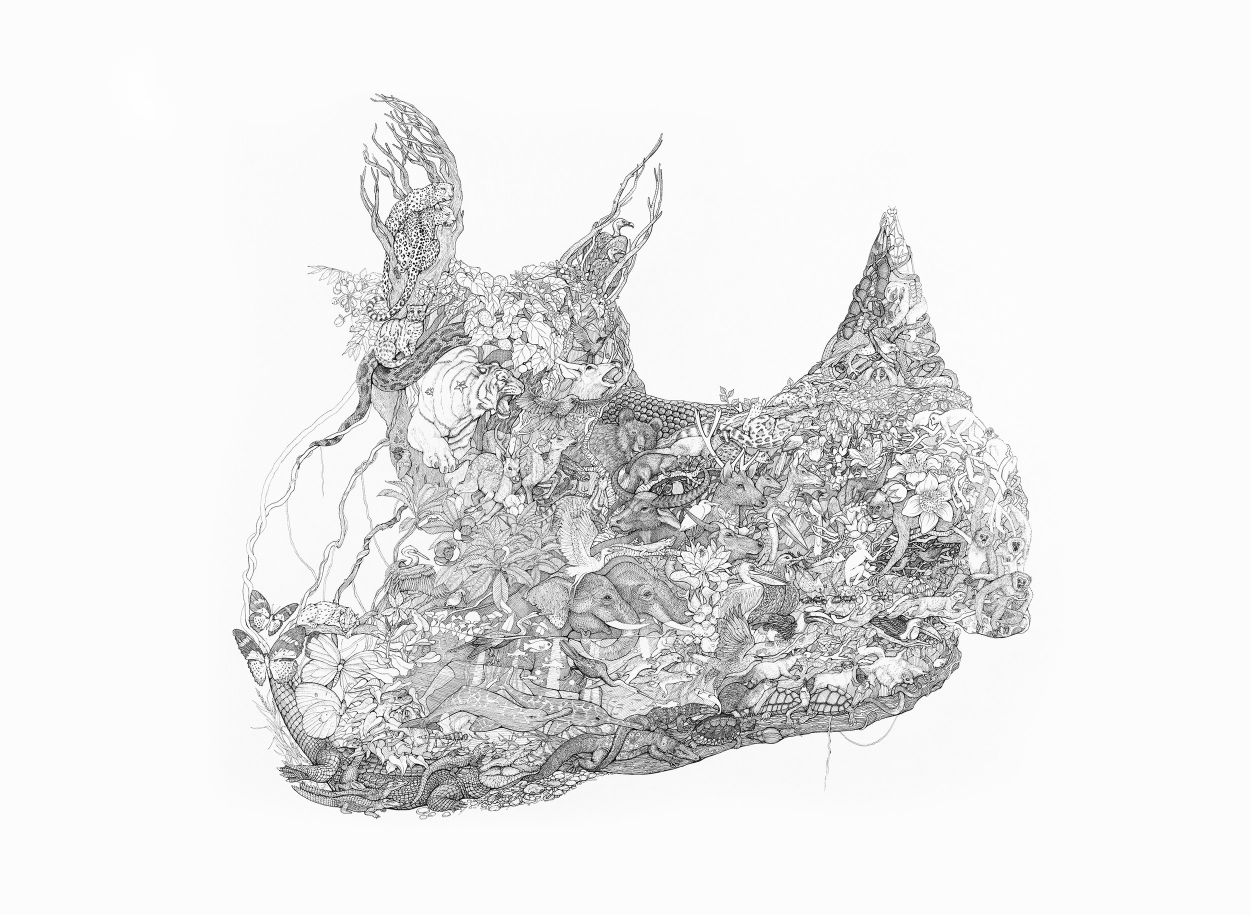Rhino 02 to size.jpg