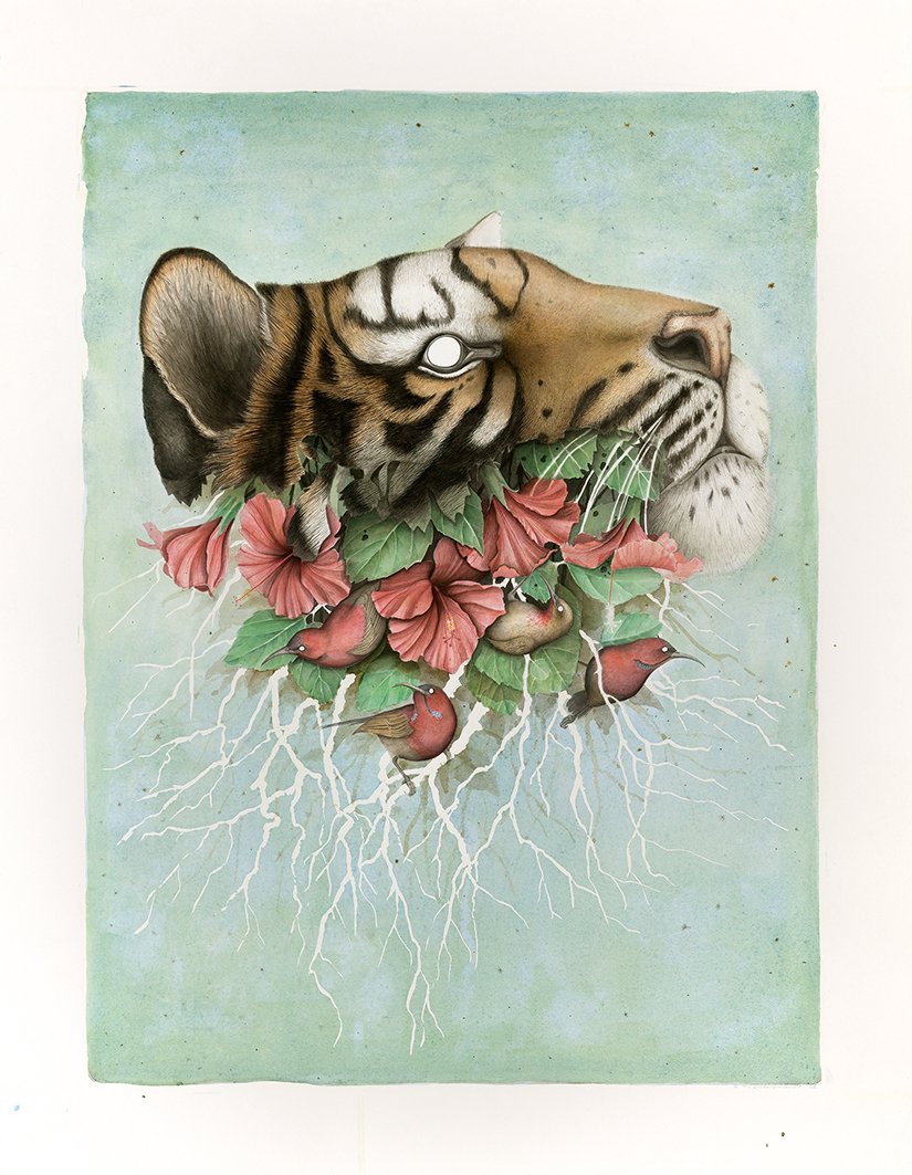 Furious Sleep
56 x 76 cm | Acrylic inks on Paper | 2015