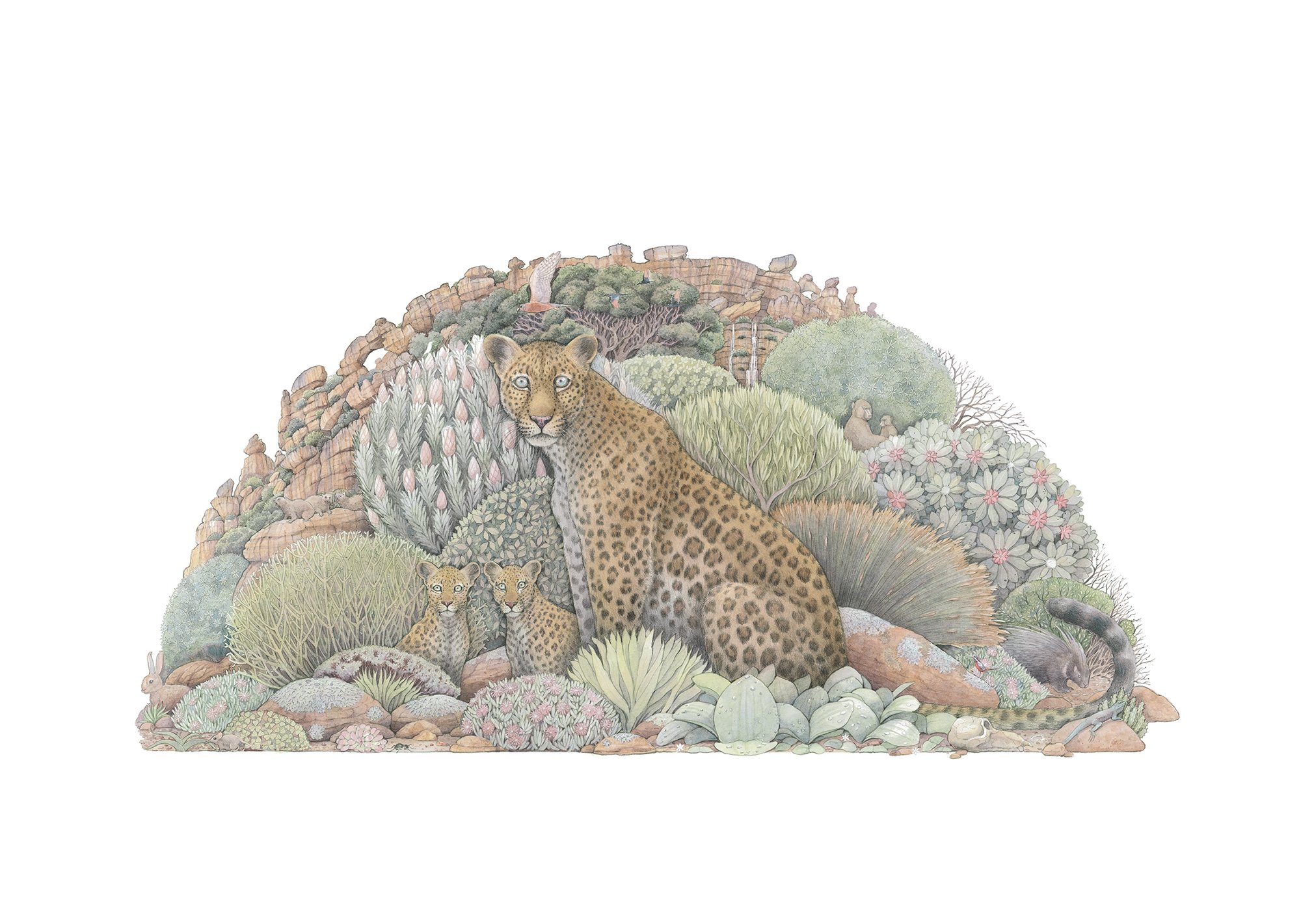 three leopards for hover.jpg