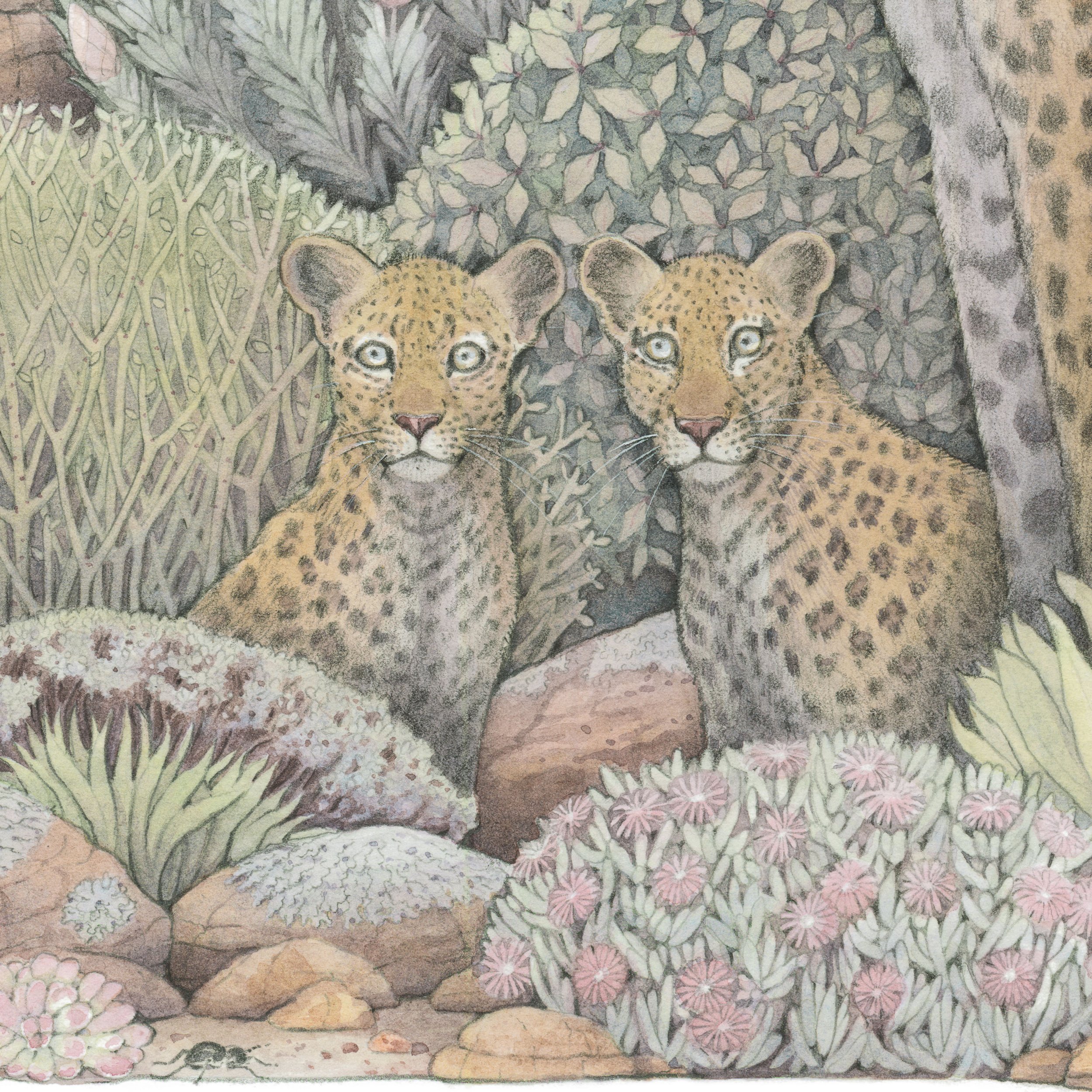 3 leopards crop_1.jpg