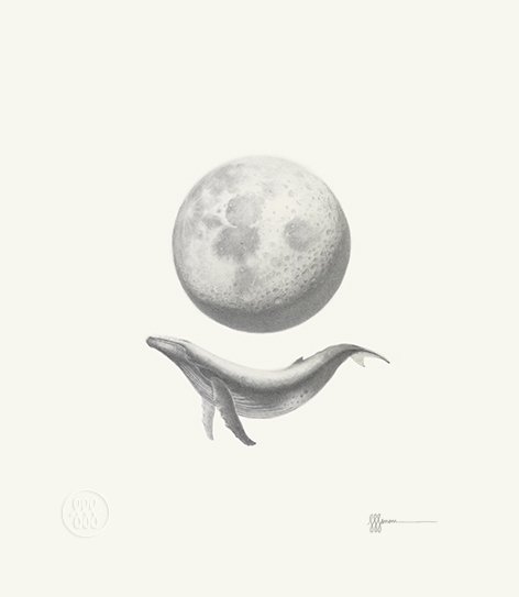 orbital distance 20x23.jpg