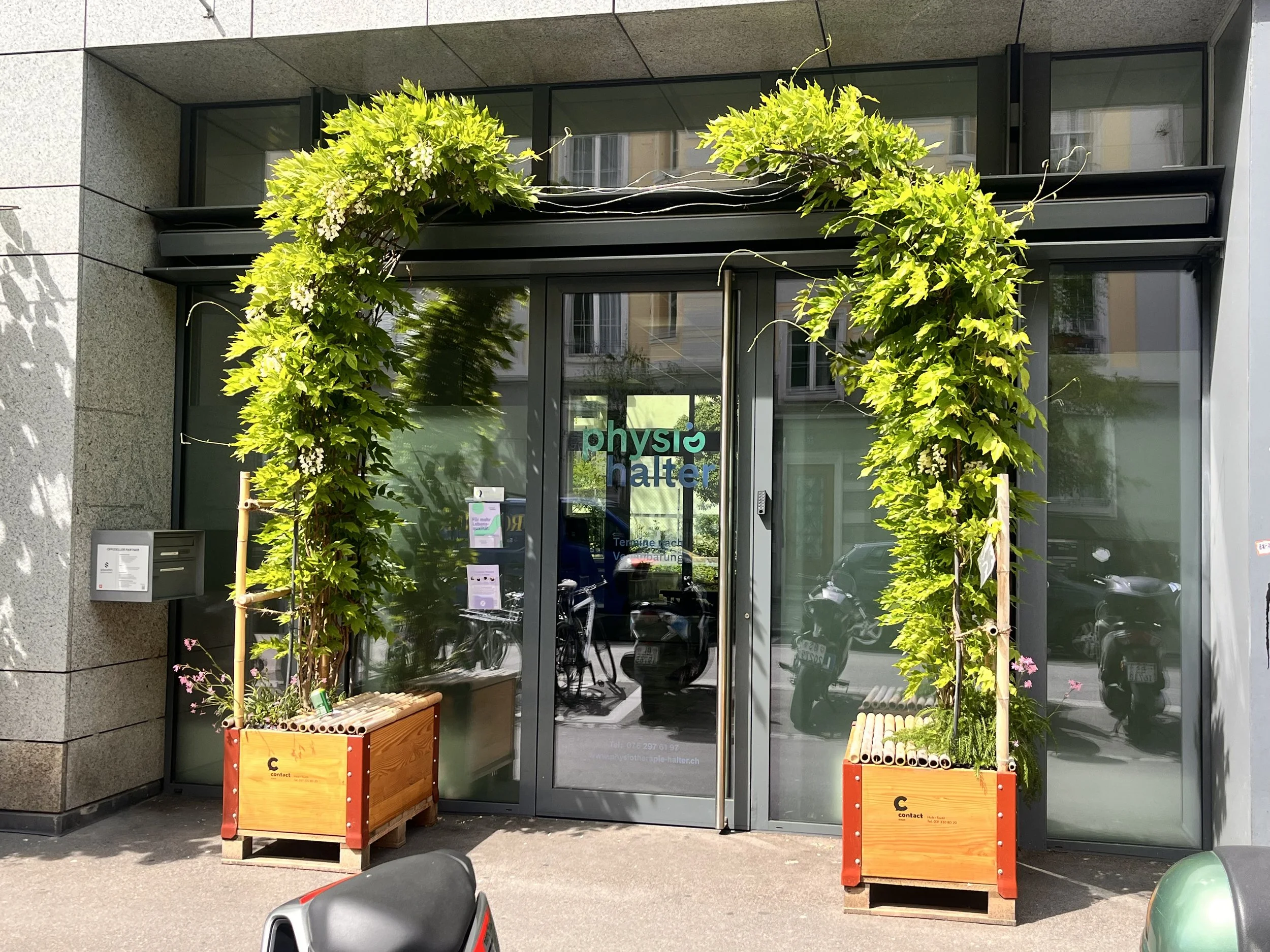 Begrünter Eingang zur Praxis Physio Halter in Basel – einladend und freundlich gestaltet