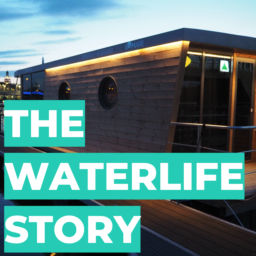 Where did the inspiration for Waterlife come from?