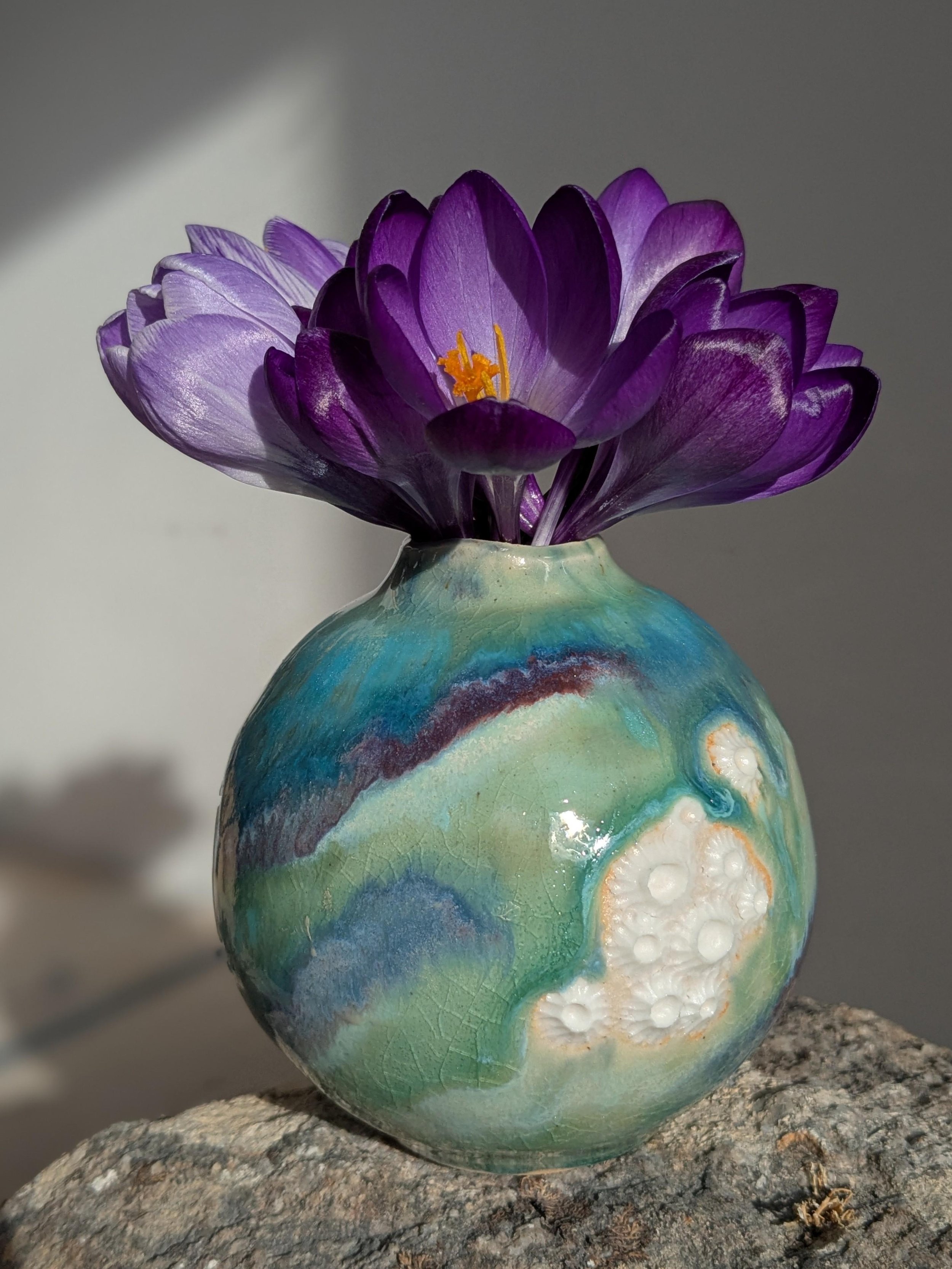 Belinda Glennon 5.jpg