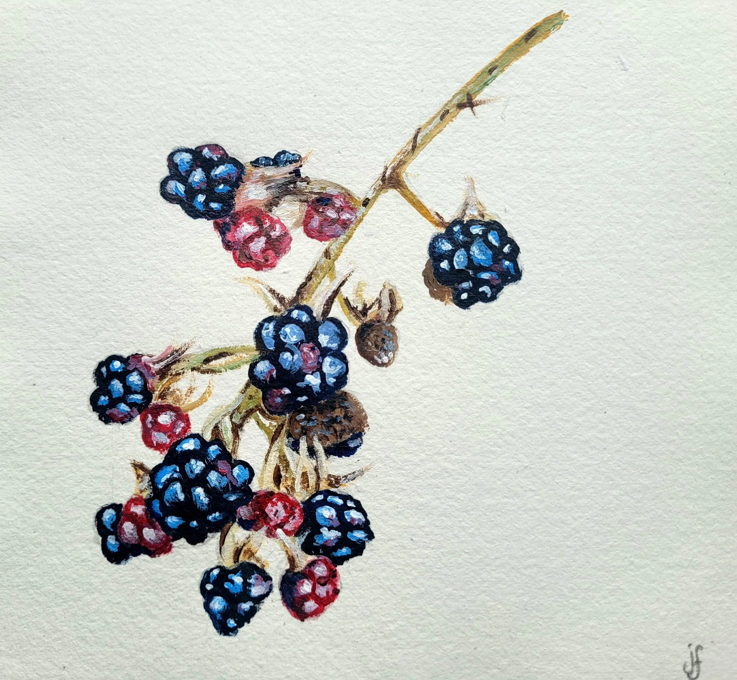 Jane Freeman Brambles.jpg