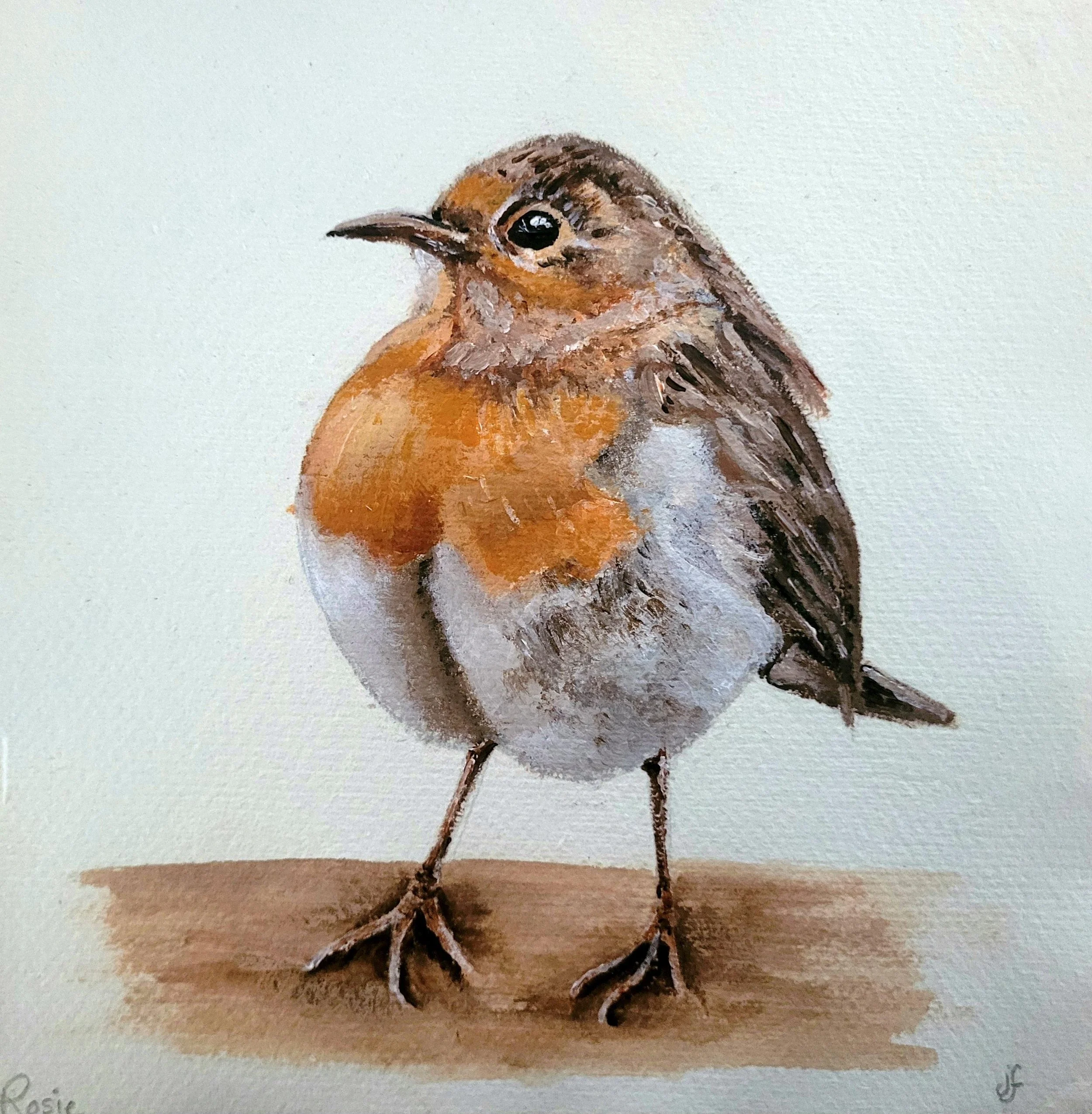 Jane Freeman Robin.jpg