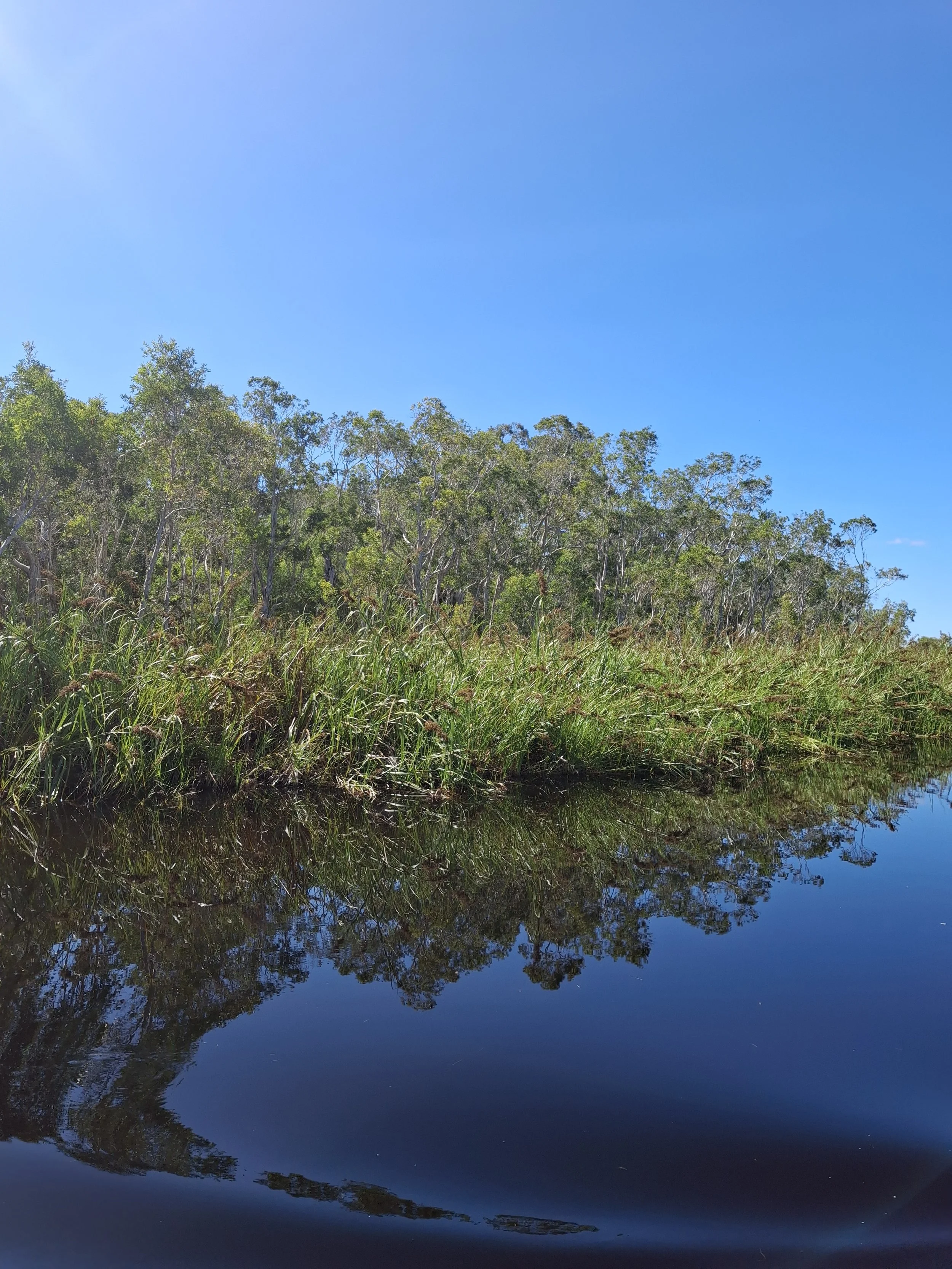 Noosaville, Qld