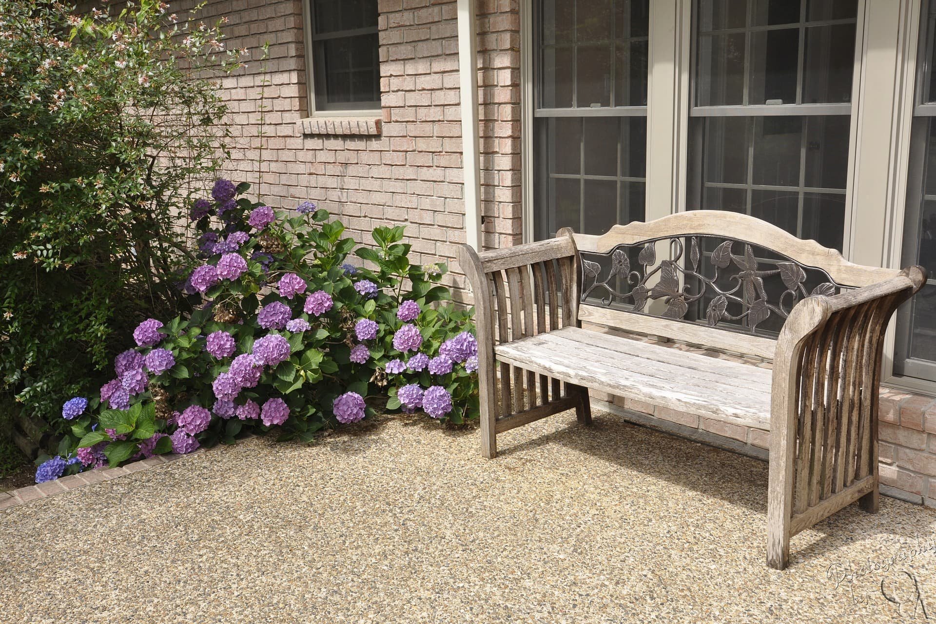 A garden patio with a weathered wooden bench and purple hydrangea flowers growing beside a brick house wall with large windows.