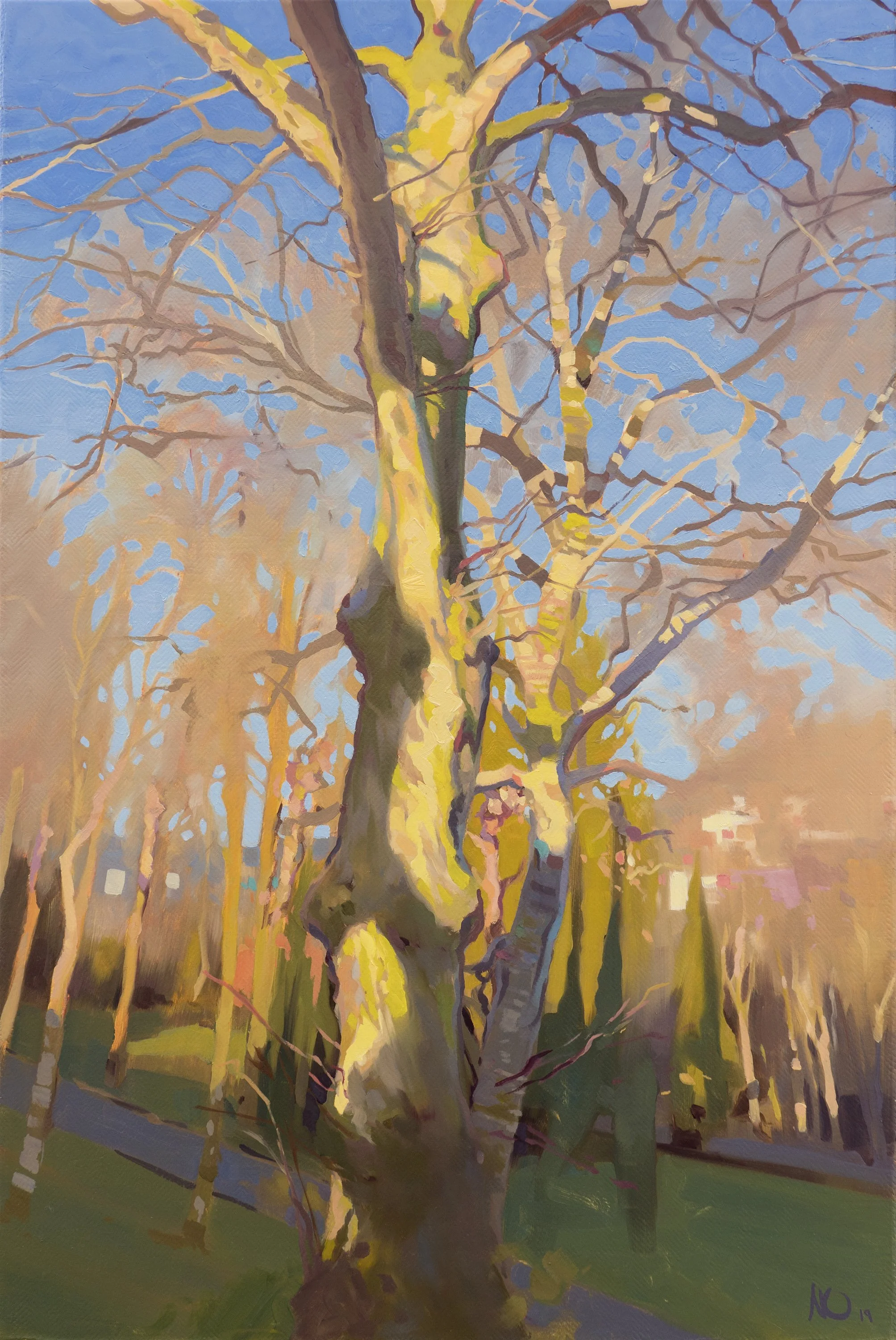Winter Sun by Nicholas O´Leary