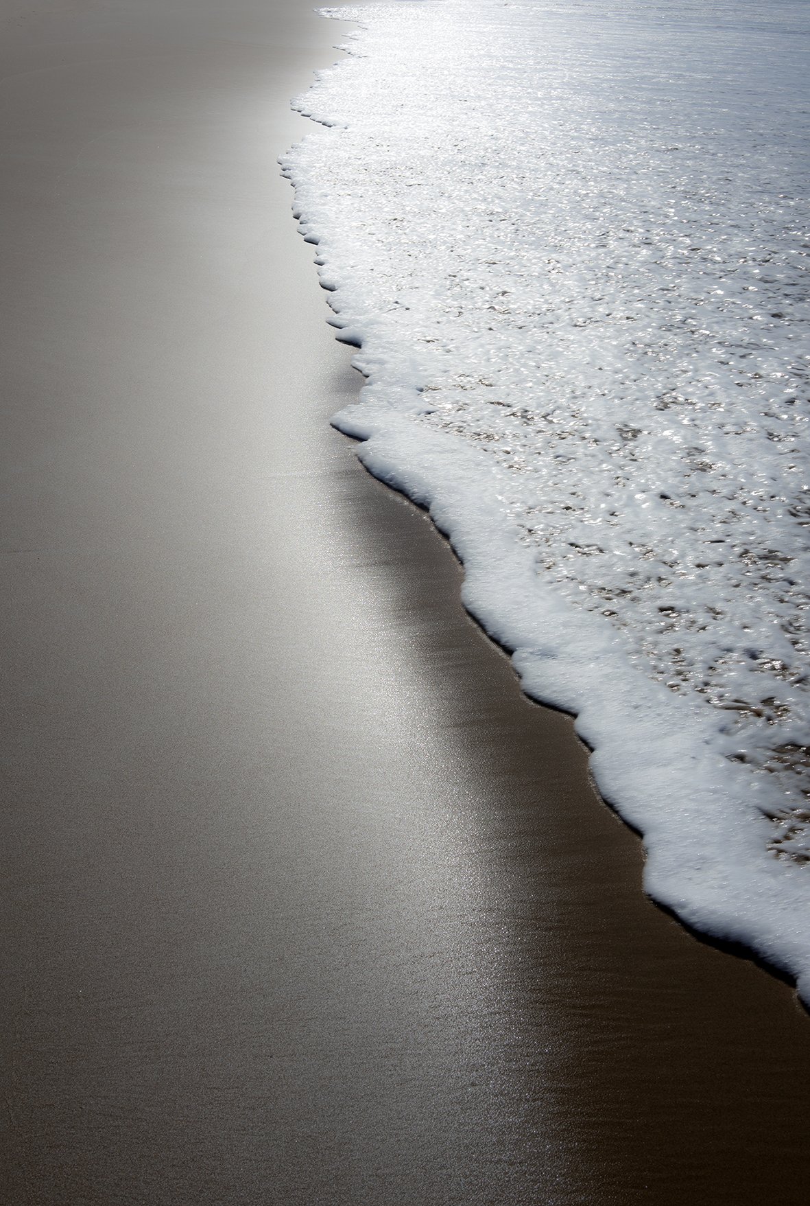 Ponta Do Ouro, 2024
Archival inkjet print (List oppe og nede)
100 X 70 cm