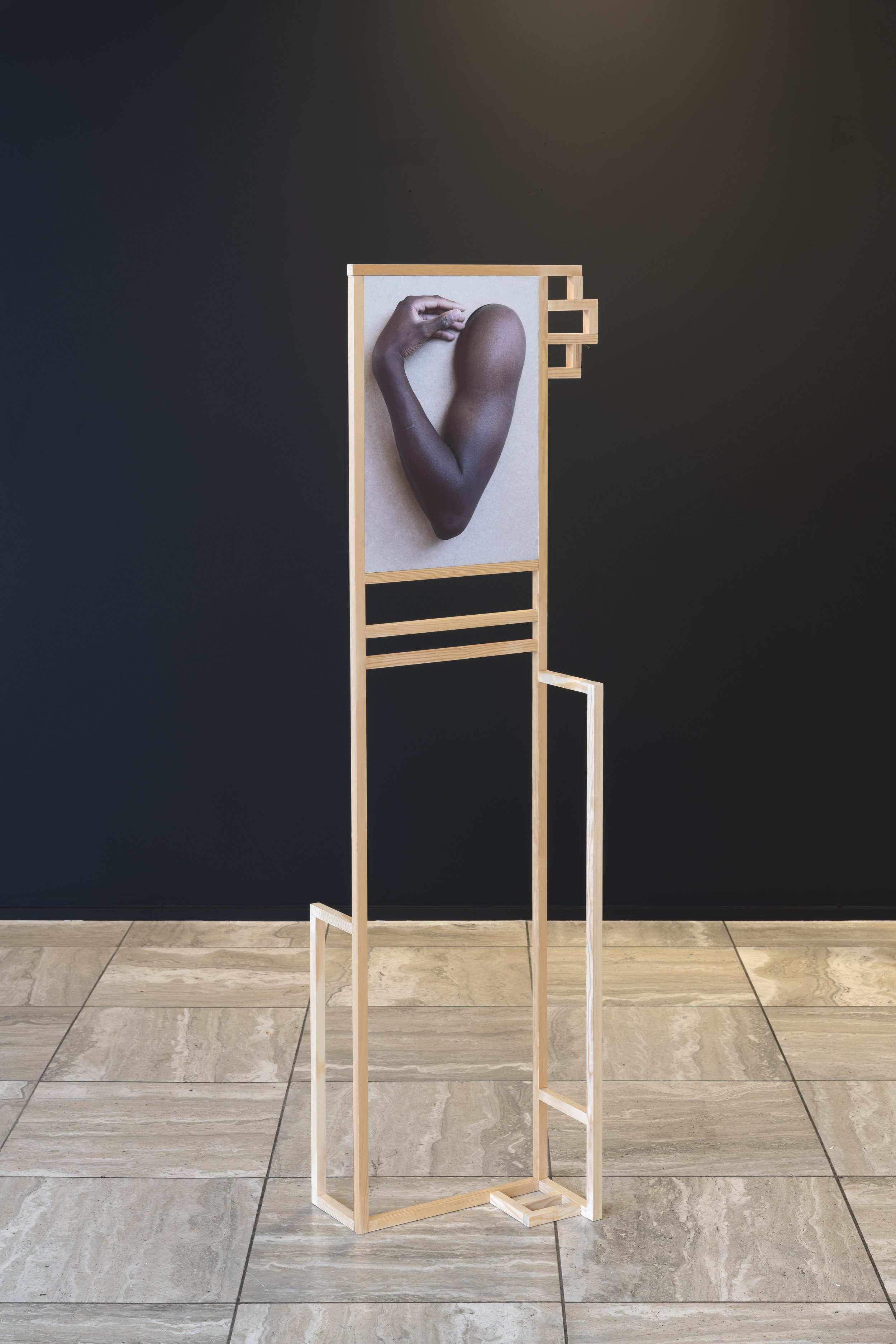 Mariken Kramer:Bird V: 132 x 39 x 27 cm
Foto og tre. Foto. Øyvind Thorvaldsen