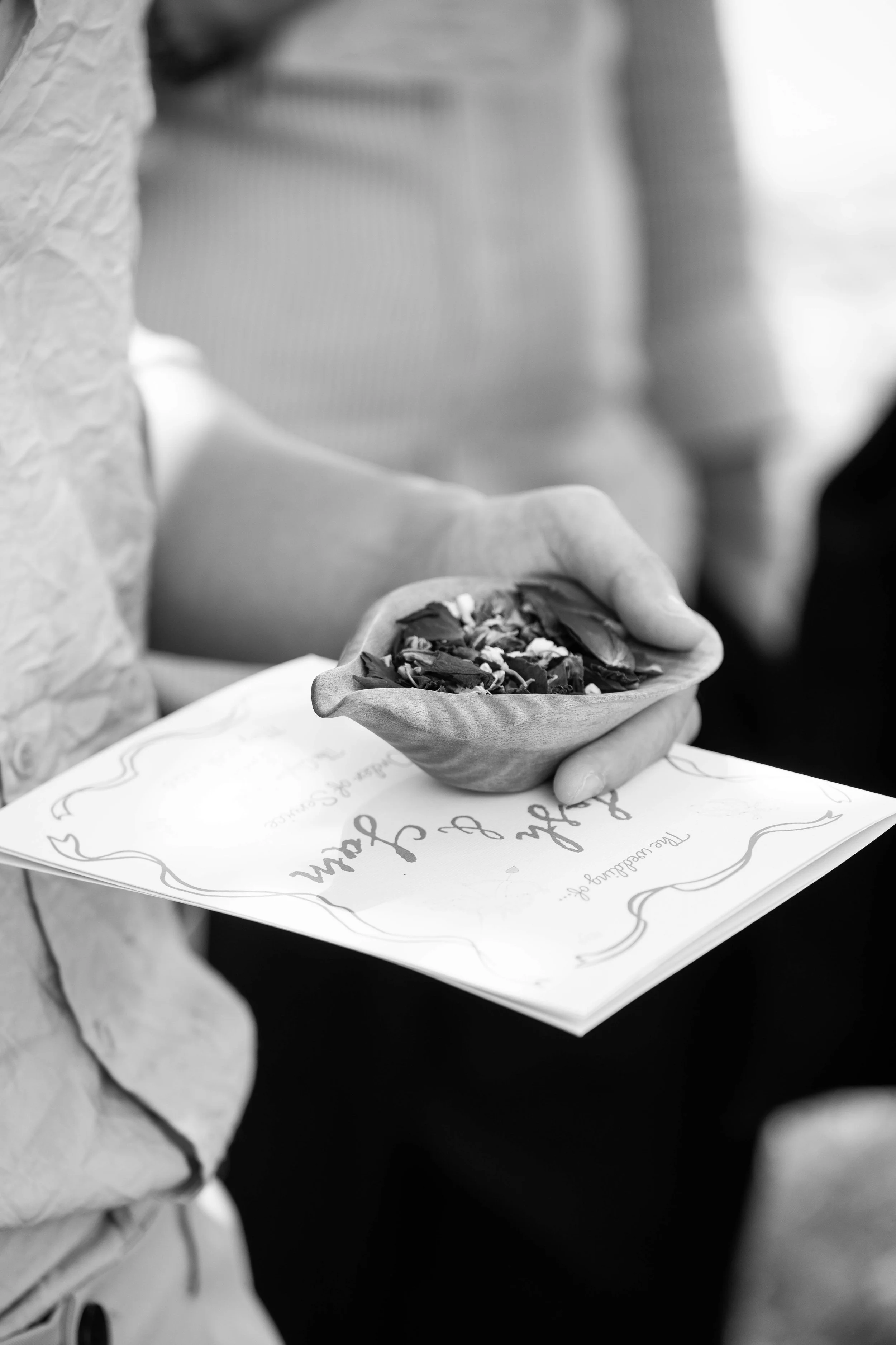 SM_SamJoshWedding2026_249_web.jpg