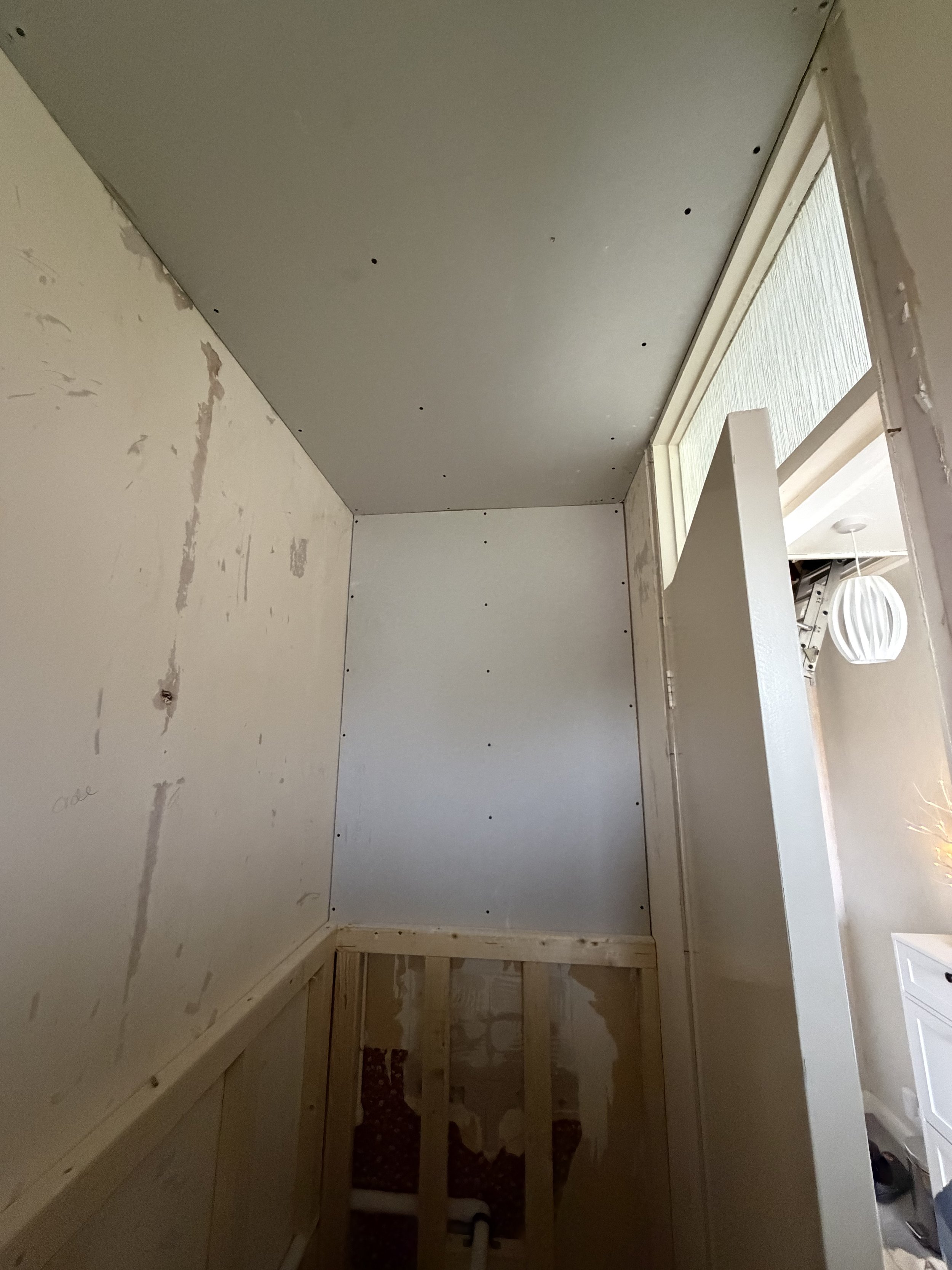 Downstairs Toilet rip out before install