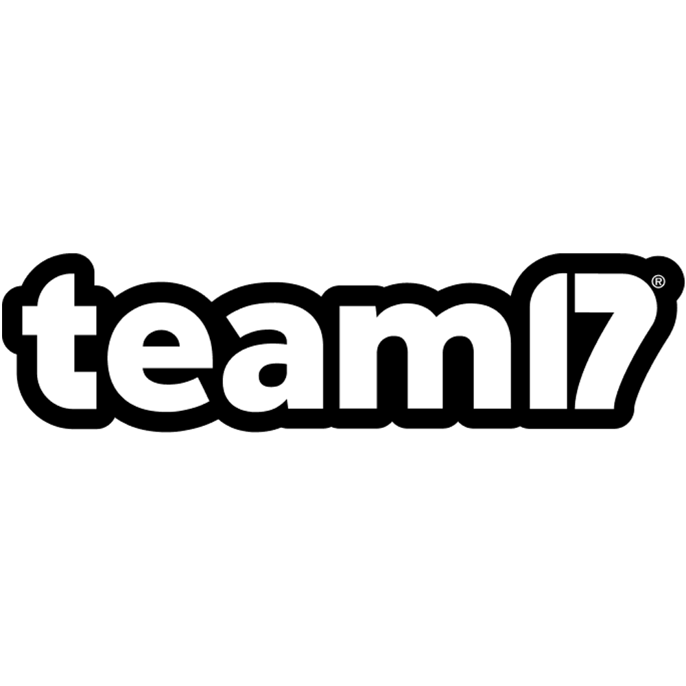 Team_17.png