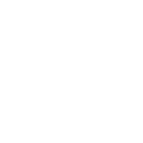 The Vegan Brand Studio