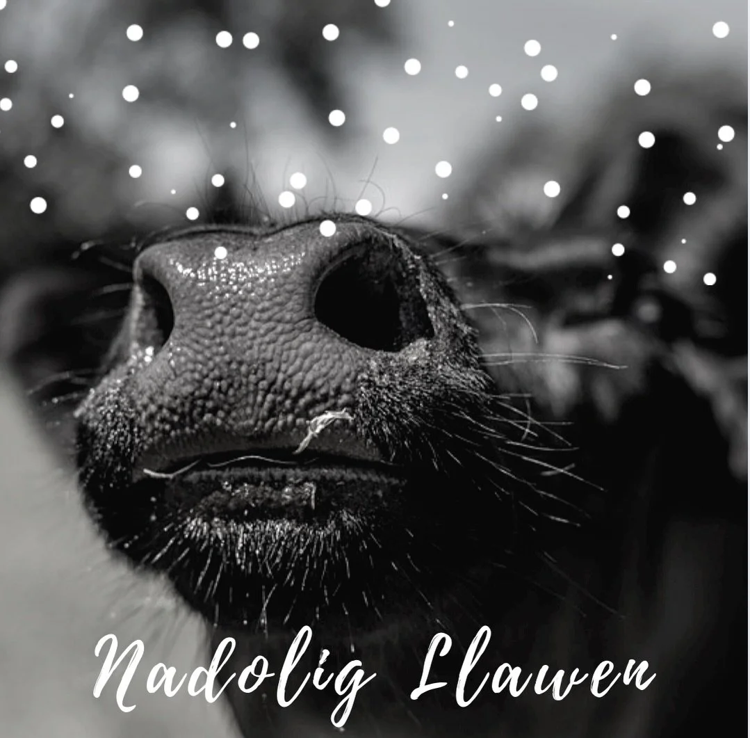 Nadolig Llawen i chi gyd,
Diolch am eich cefnogaeth o hyd.
Am fod gyda ni drwy&rsquo;r flwyddyn hir,
Boed heddwch a llawenydd ym mhob sir
🎄