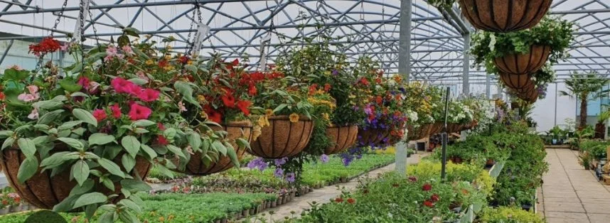 Trip to Aylsham Garden Centre