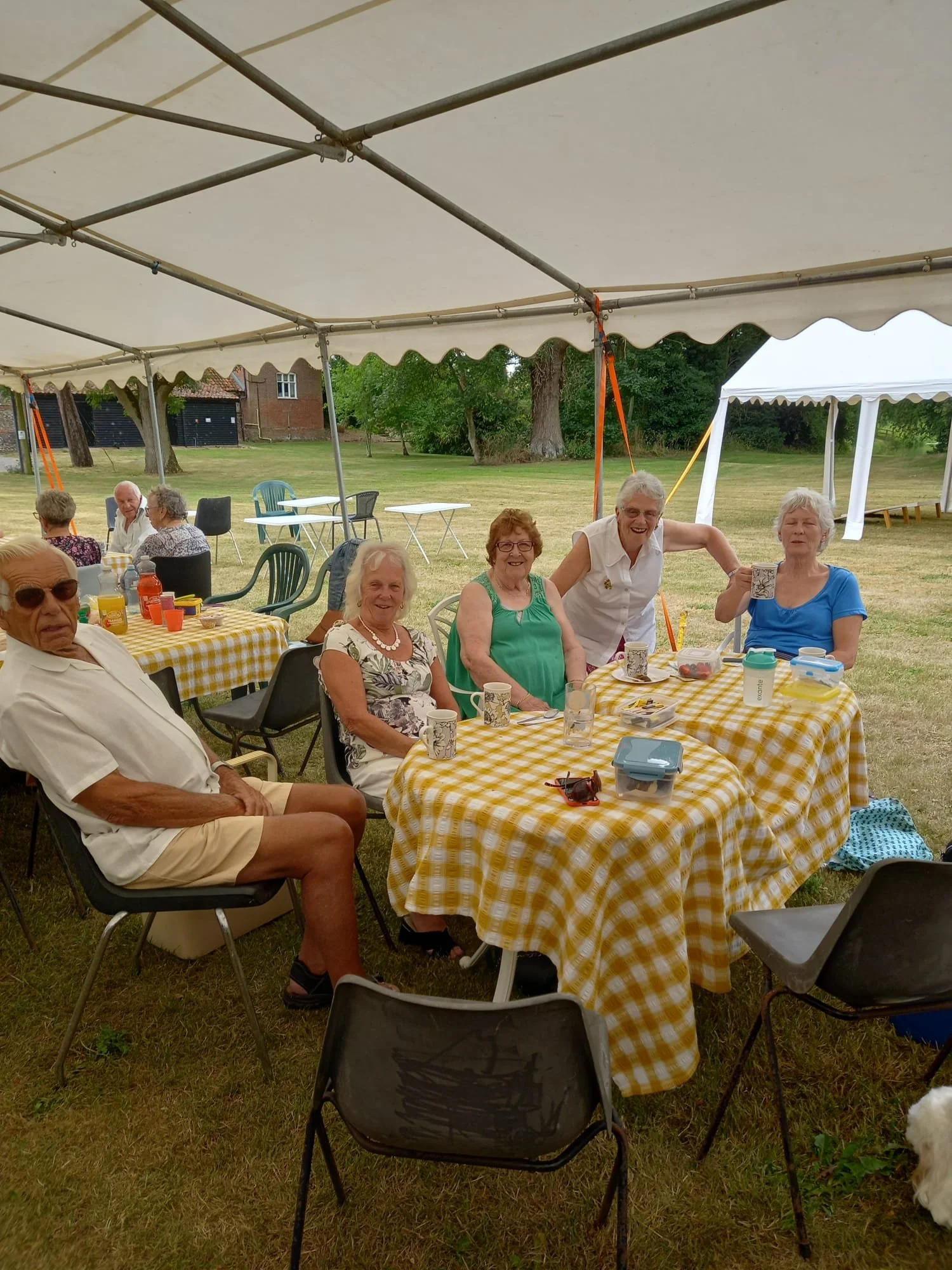 Picnic at Castle Farm