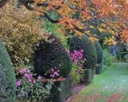 Holt and Sherringham Gardens