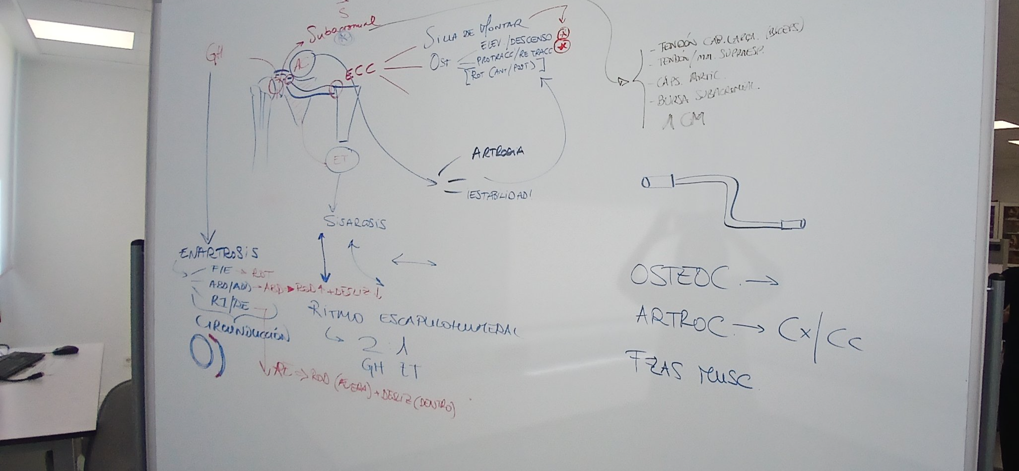 Pizarra con la explicación de los mecanismos neurofisiológicos de la osteopatía, utilizada como material didáctico en el curso en Madrid de osteopatía en el centro de formación HARA.