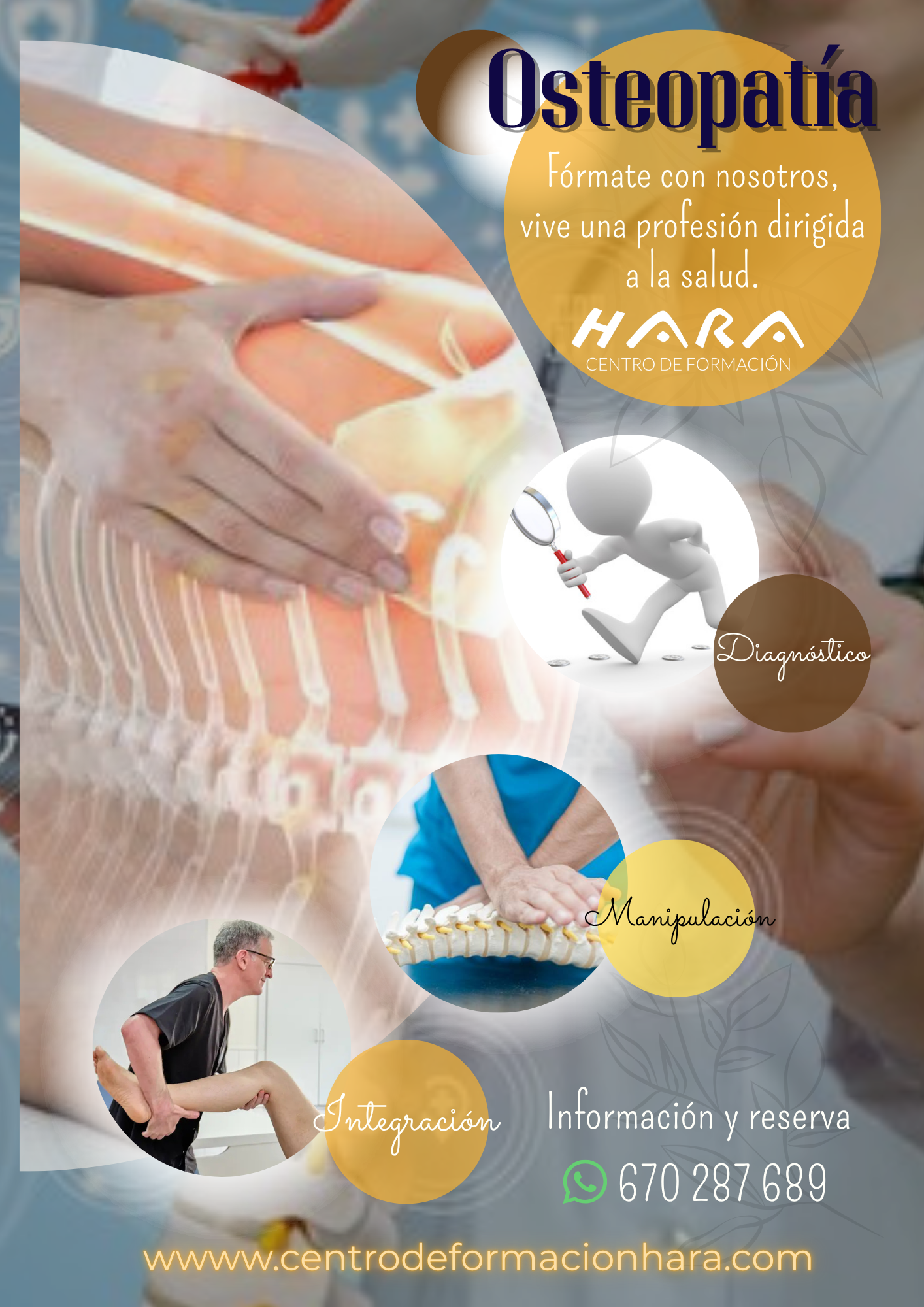 Póster promocional del Curso Superior de Osteopatía en Madrid, el centro HARA Formación, destacando fechas, requisitos y un 15% de descuento para alumnos de miofascial.
