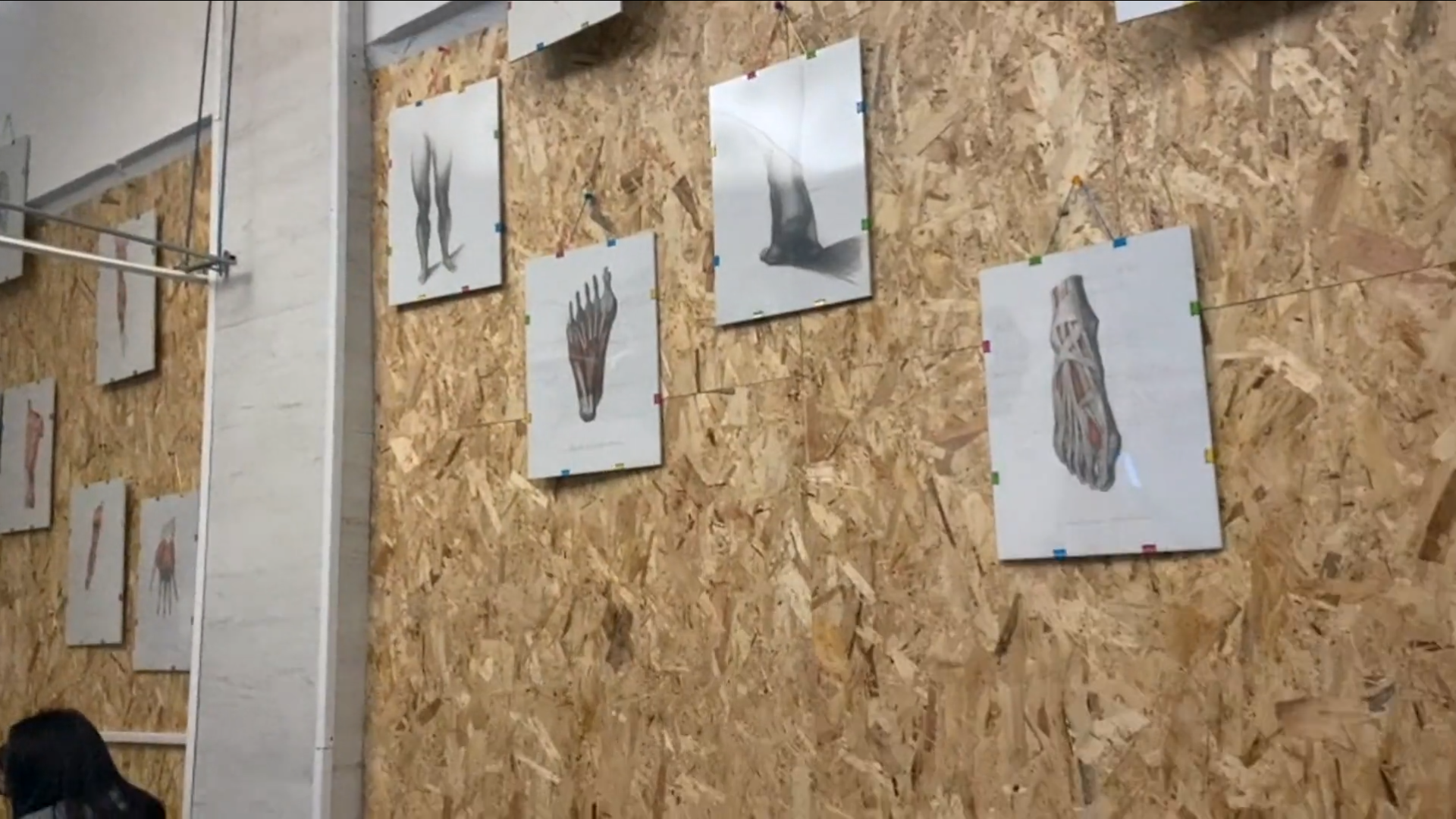 Aula del centro de formación HARA en Madrid con una pared adornada con láminas de anatomía dibujadas a mano por el artista Luis Cerezo durante su paso por la facultad de Bellas Artes.