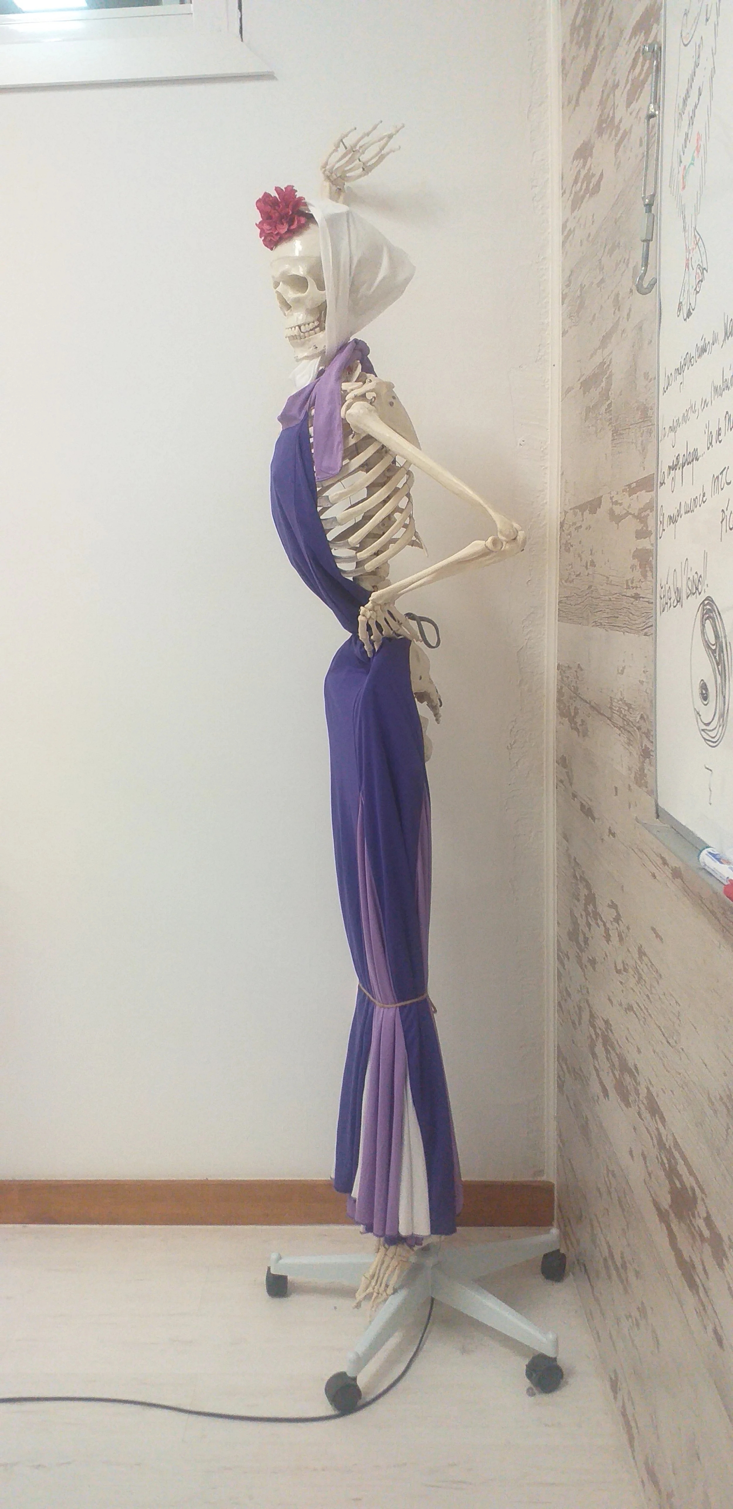 Modelo anatómico de esqueleto vestido de manera creativa para la bervena en el centro de formación HARA, utilizado como recurso educativo y decorativo.