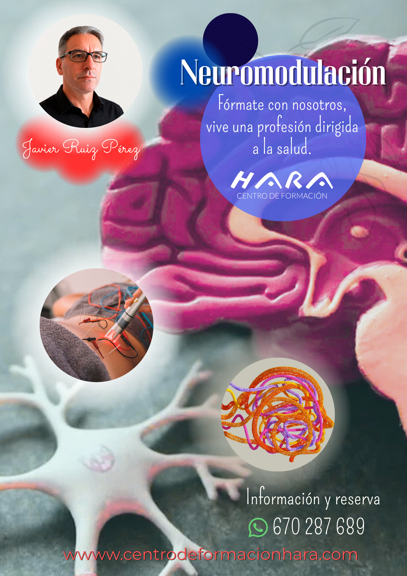 Curso de Neuromodulación y Puntos Gatillo