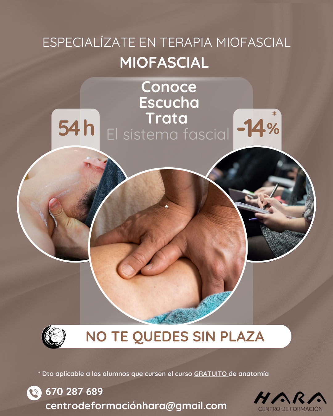 En HARA en Madrid, impartimos cursos de acupuntura y técnicas tradicionales chinas, diseñados para aquellos que quieren integrar estas terapias en su práctica para tratar dolores y disfunciones de manera holística.